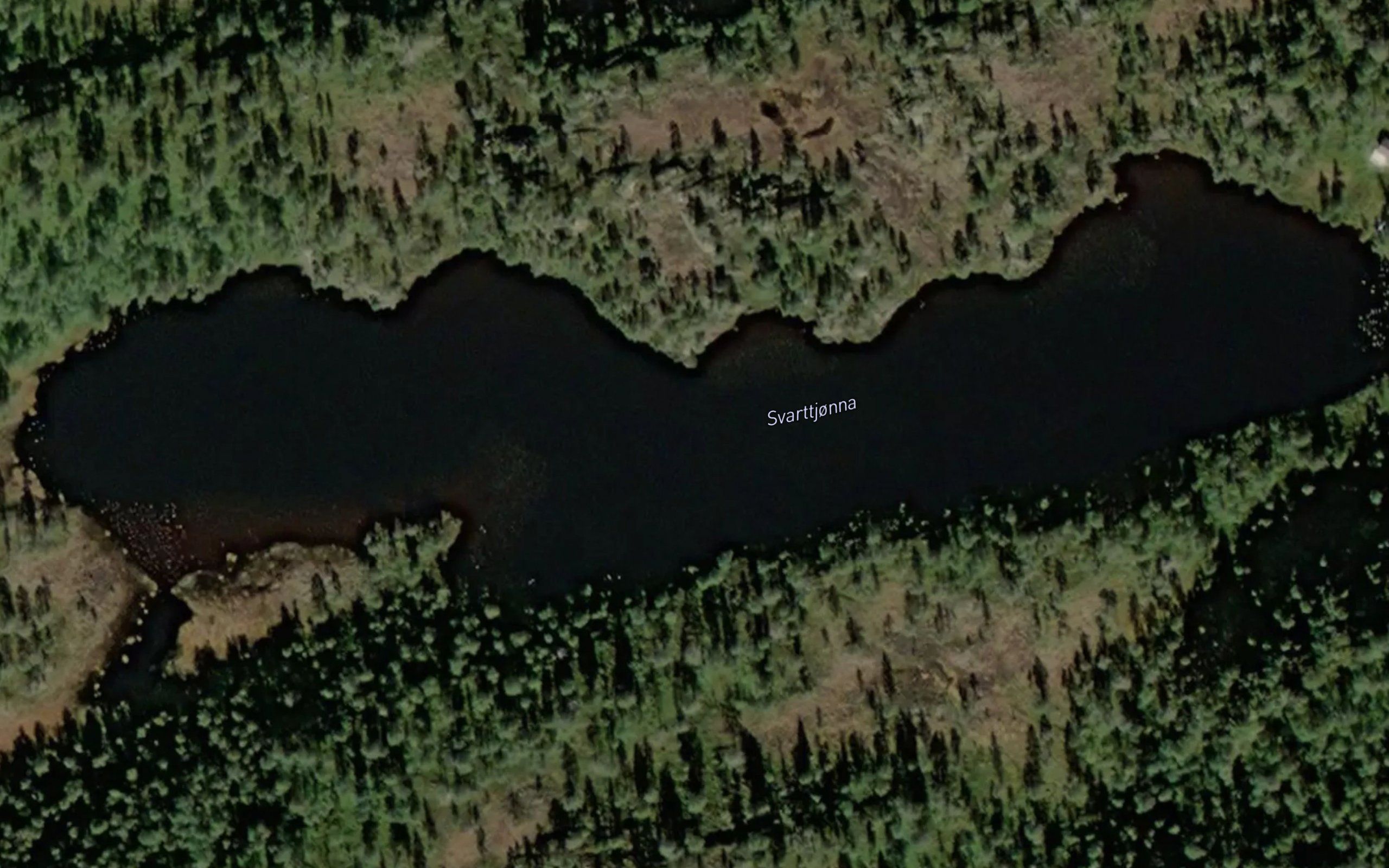 Svarttjorna