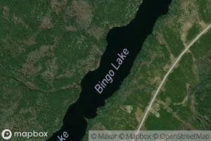 Bingo Lake