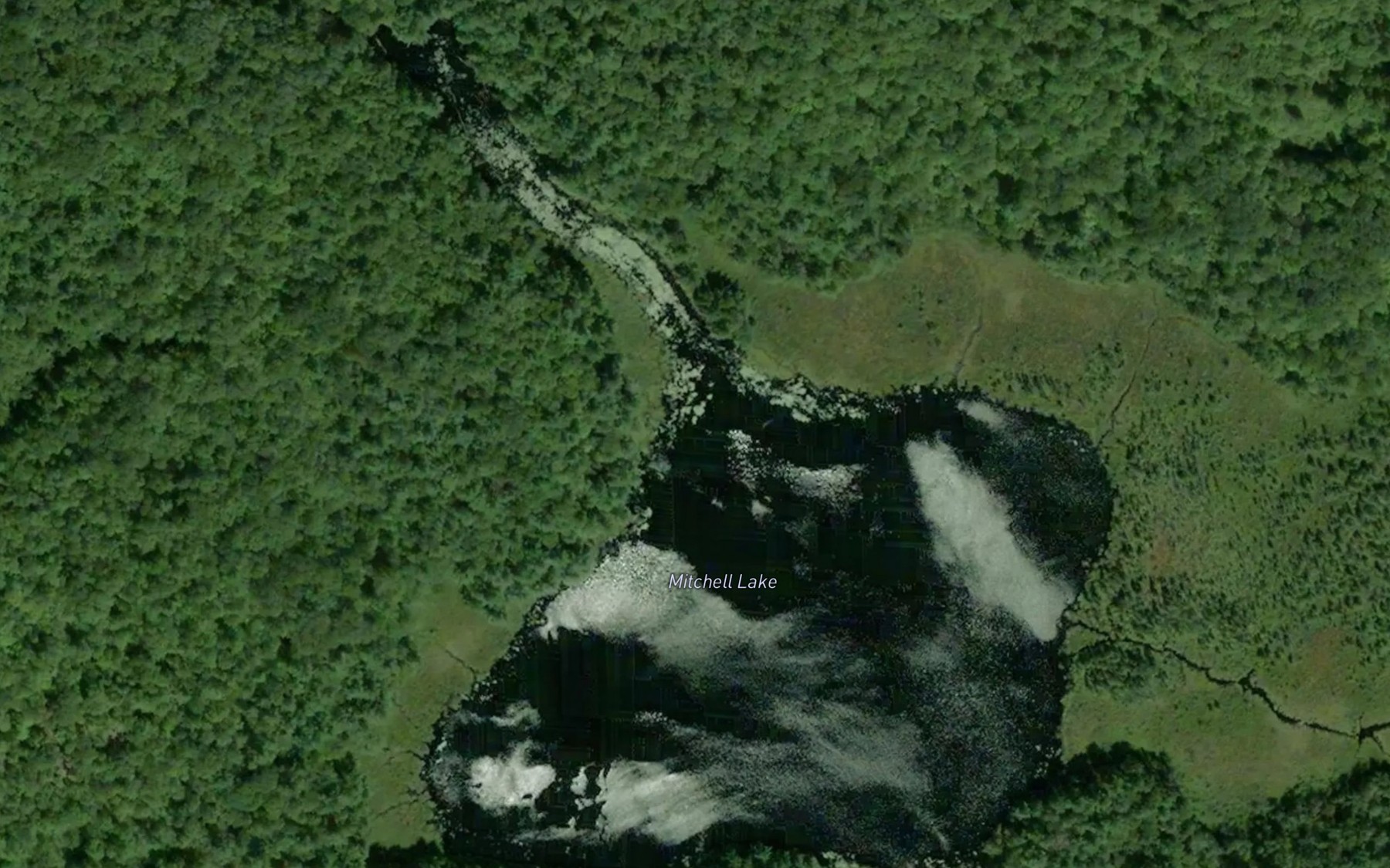 Satellite map of the Mitchell Lake