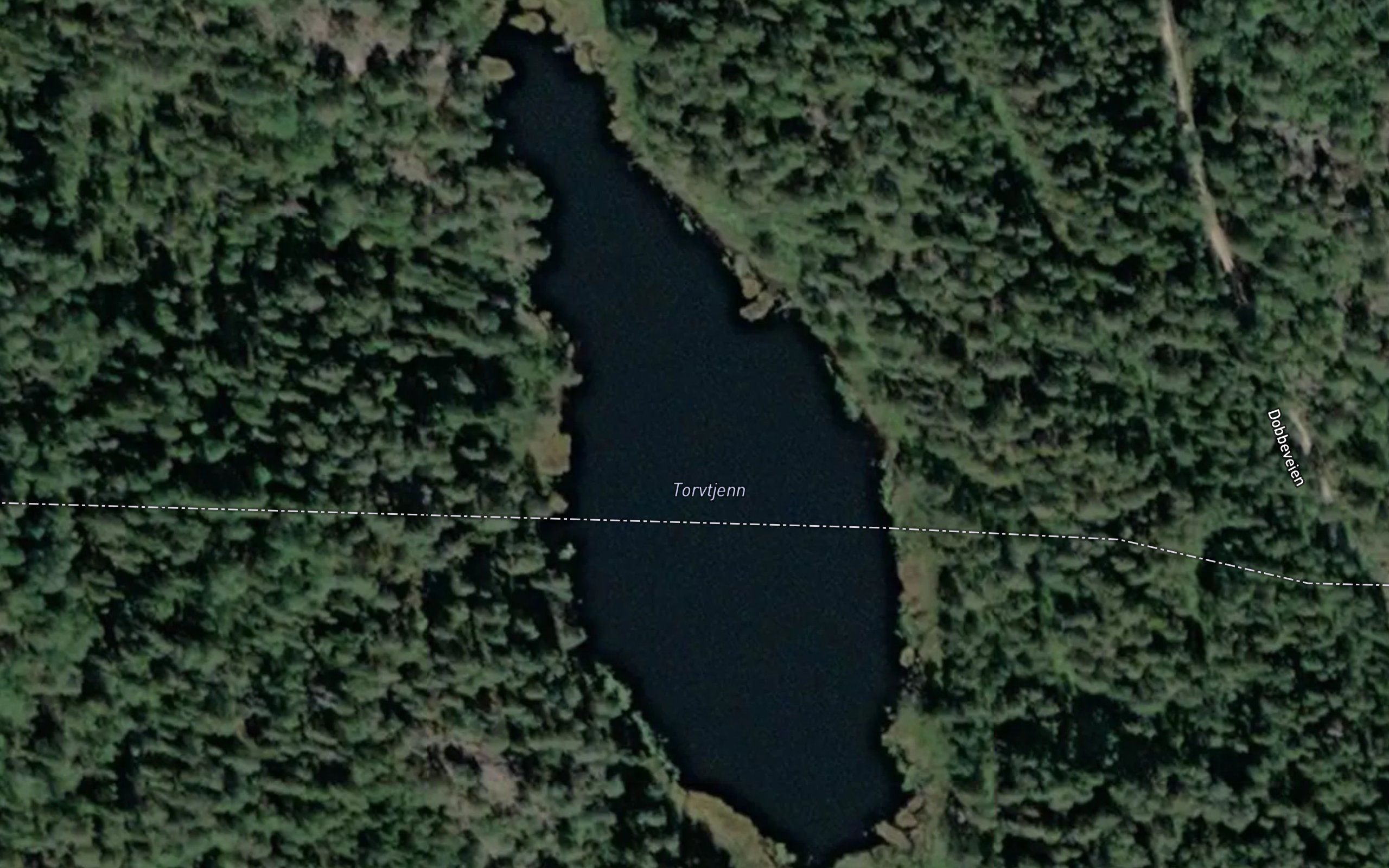 Torvtjern