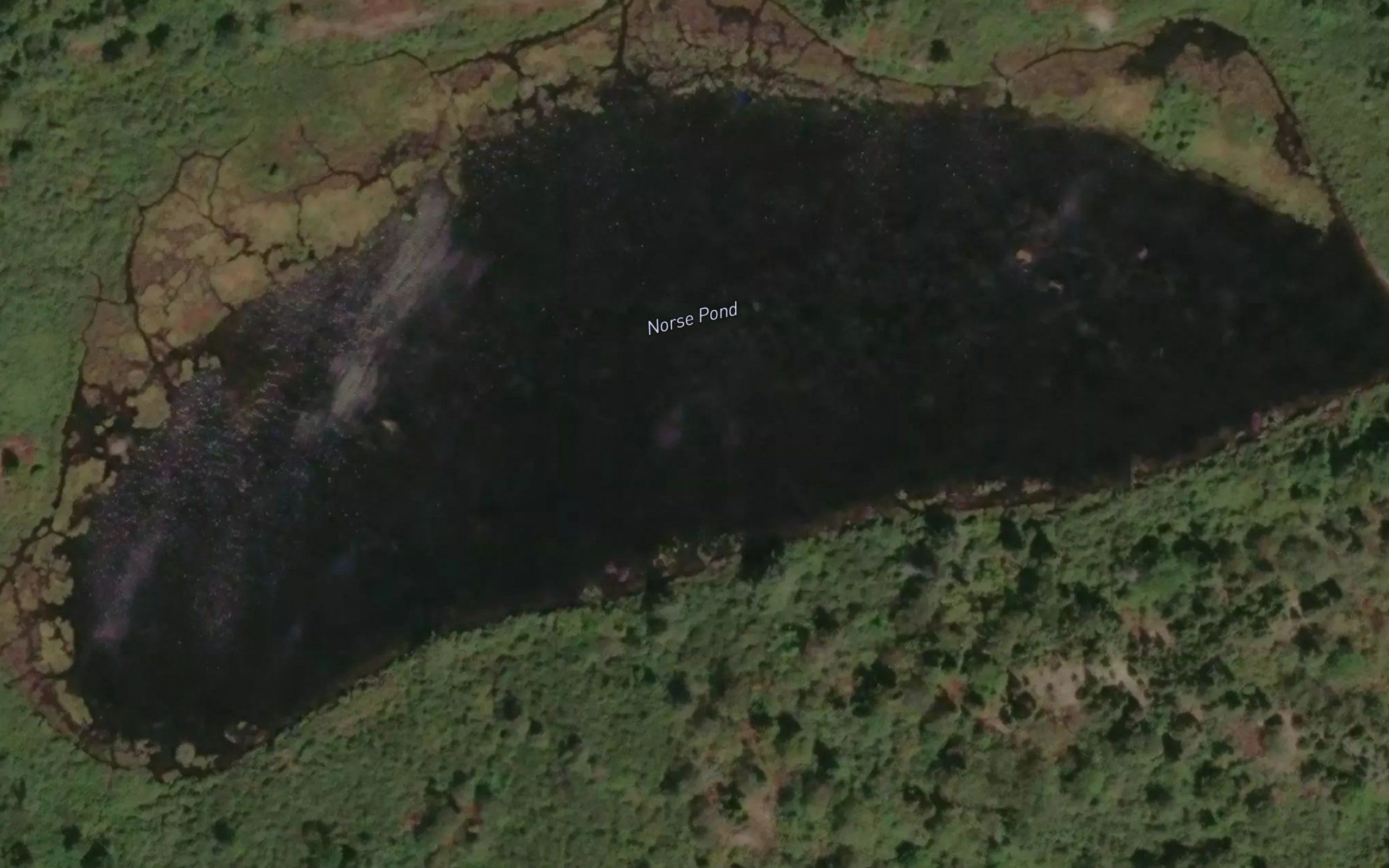 Norse Pond