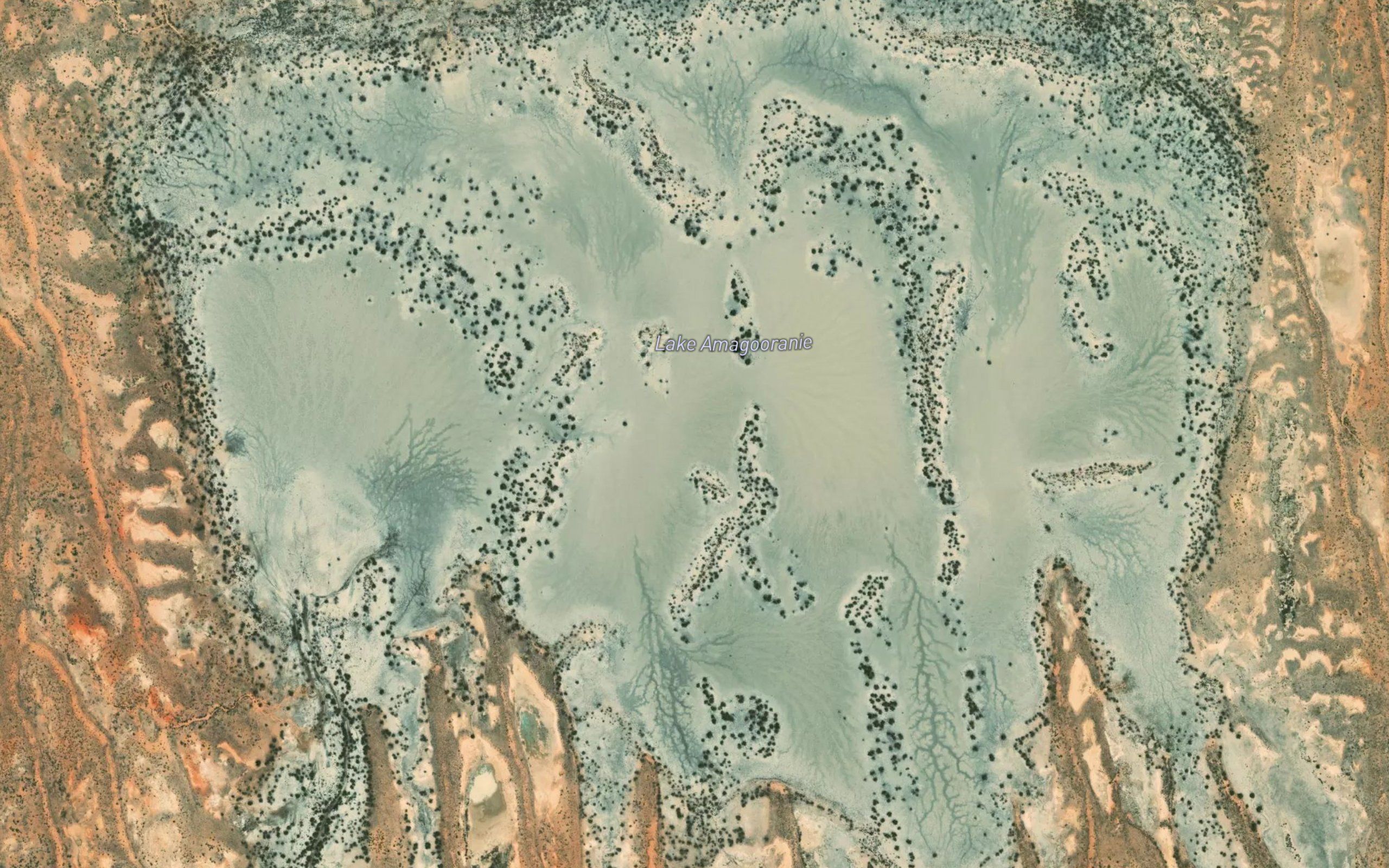 Lake Amagooranie