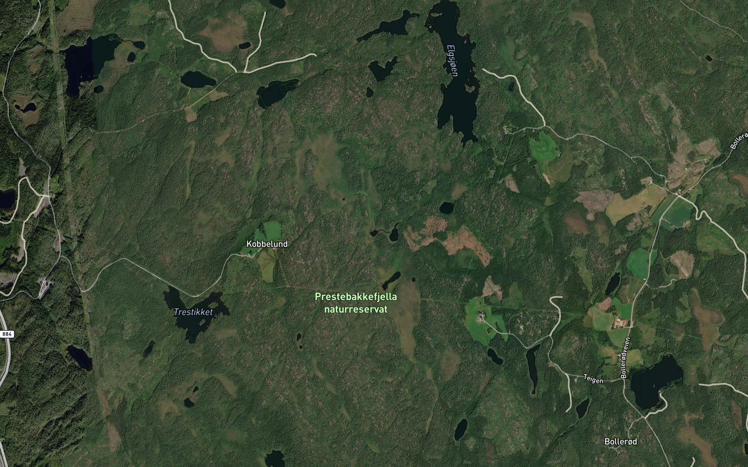 Kverntjerna
