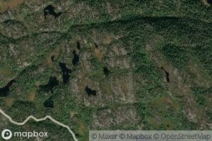 Kompetjonn