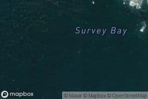 Survey Bay