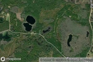 Beetree Pond