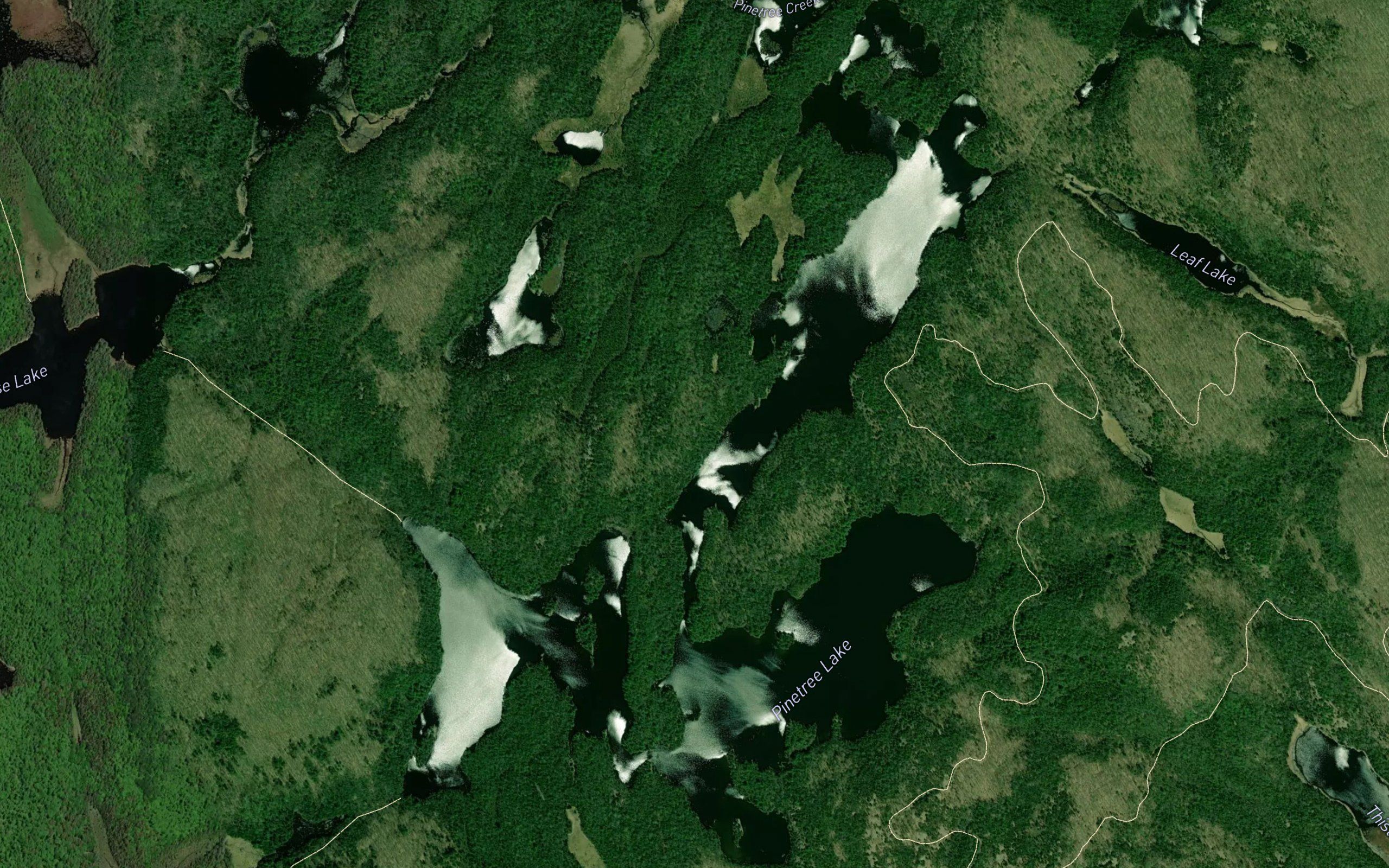 Pinetree Lake
