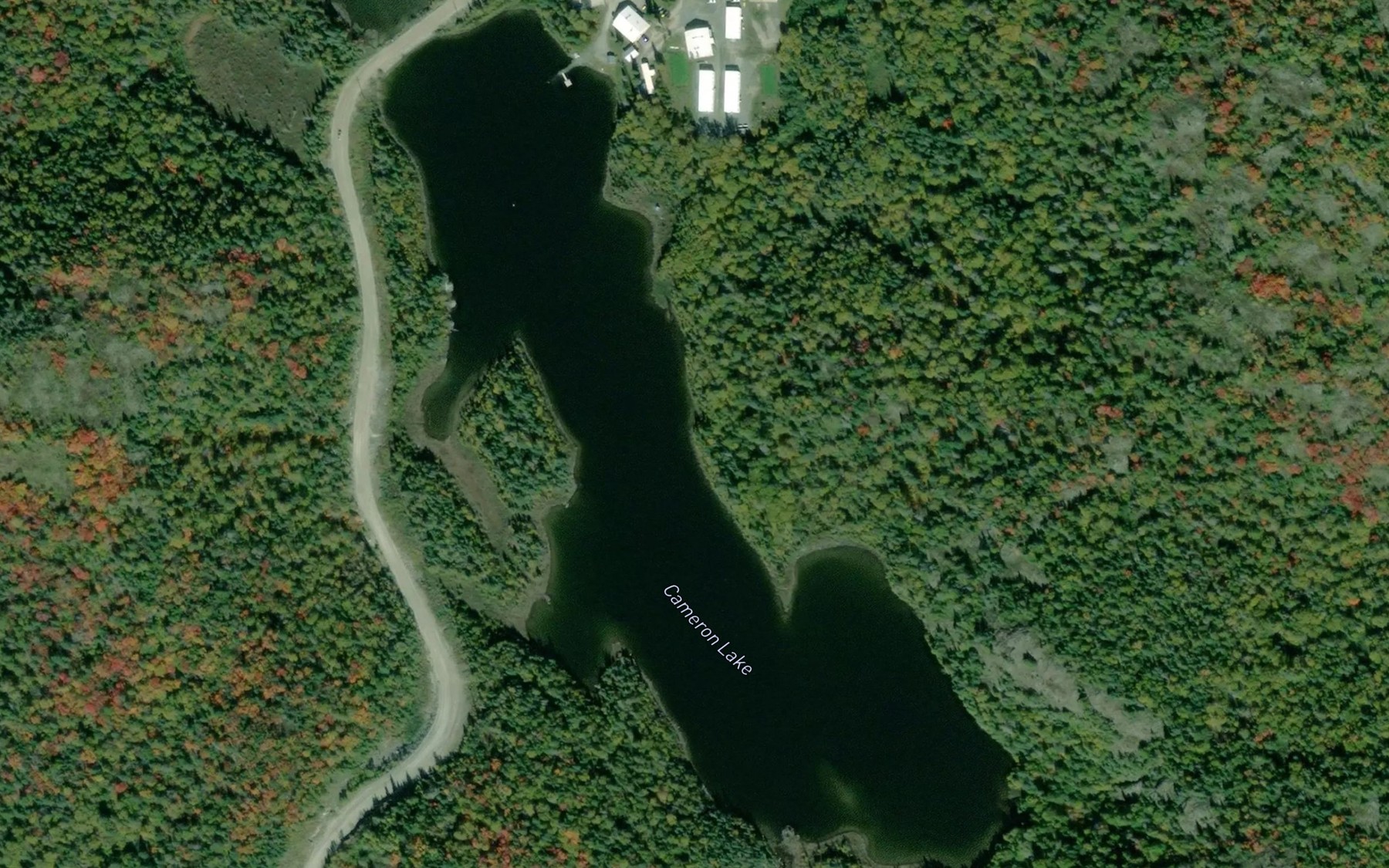 Satellite map of the Cameron Lake