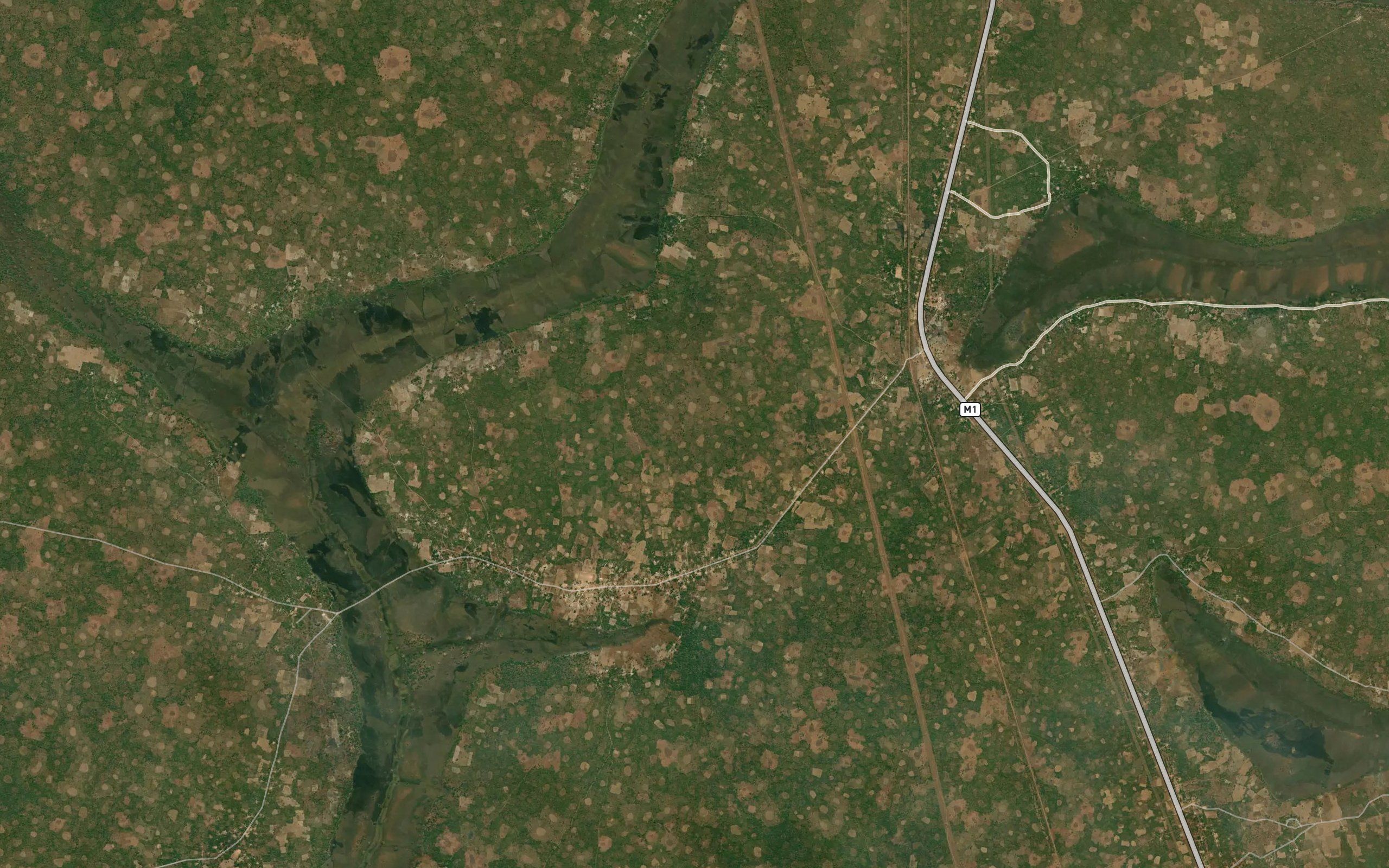 Mwanamwipi