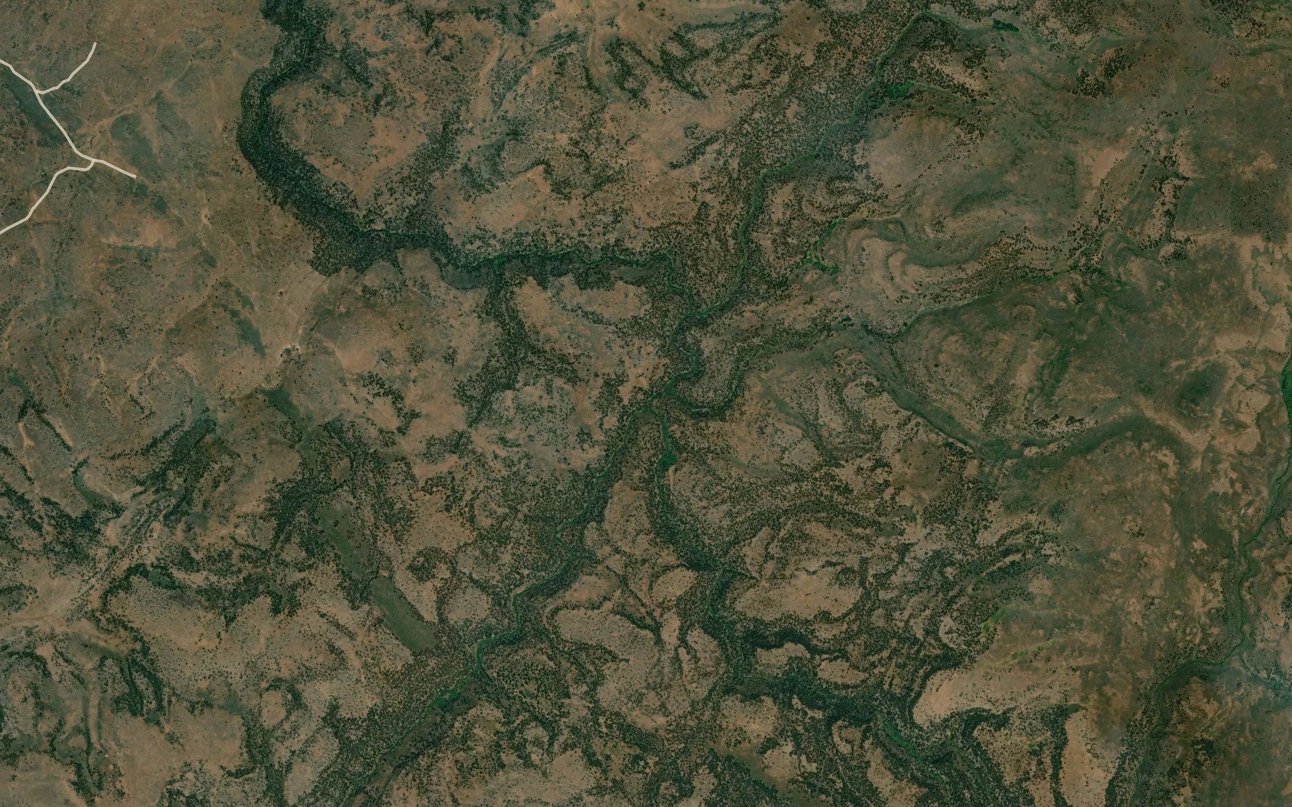 Ankle Creek