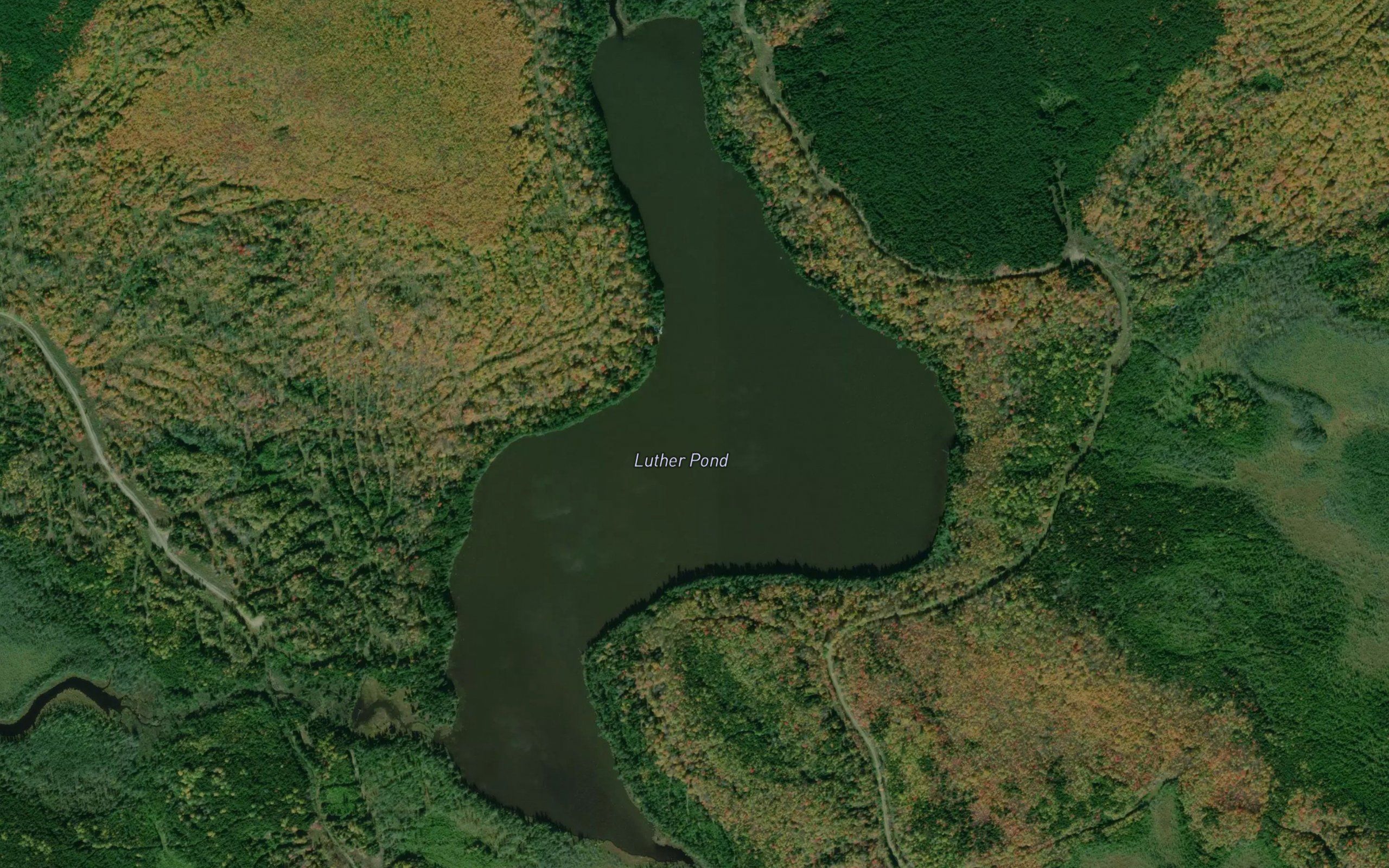 Luther Pond