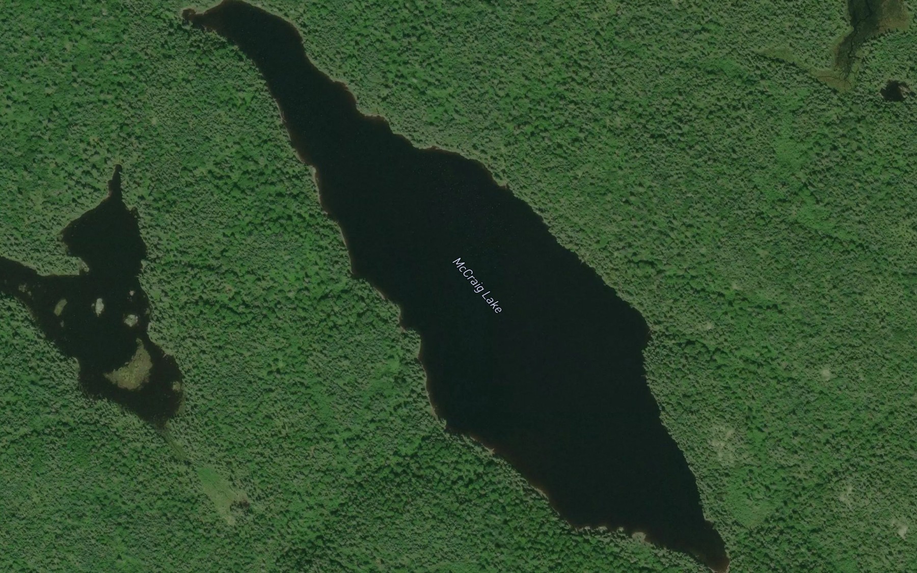 Satellite map of the McCraig Lake