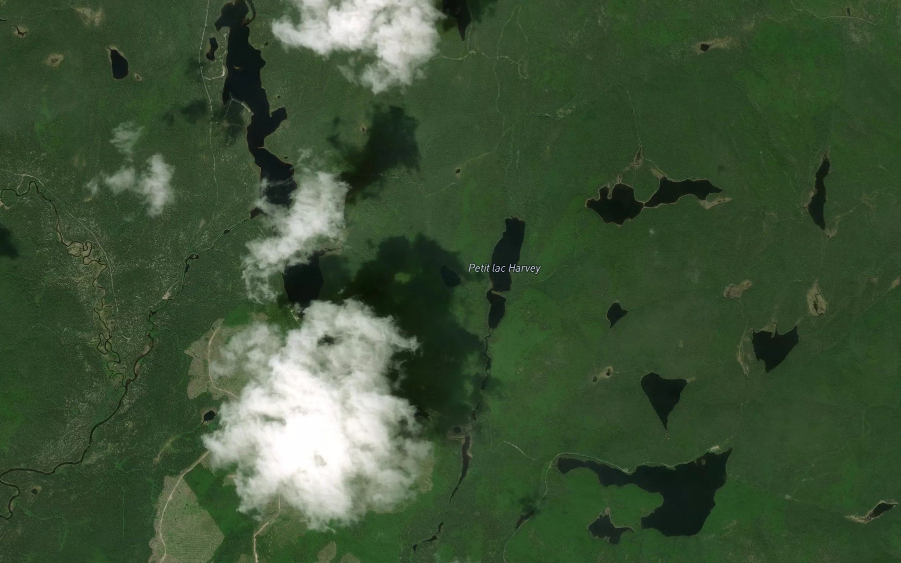 Satellite map of the Lac de l'Ecureuil