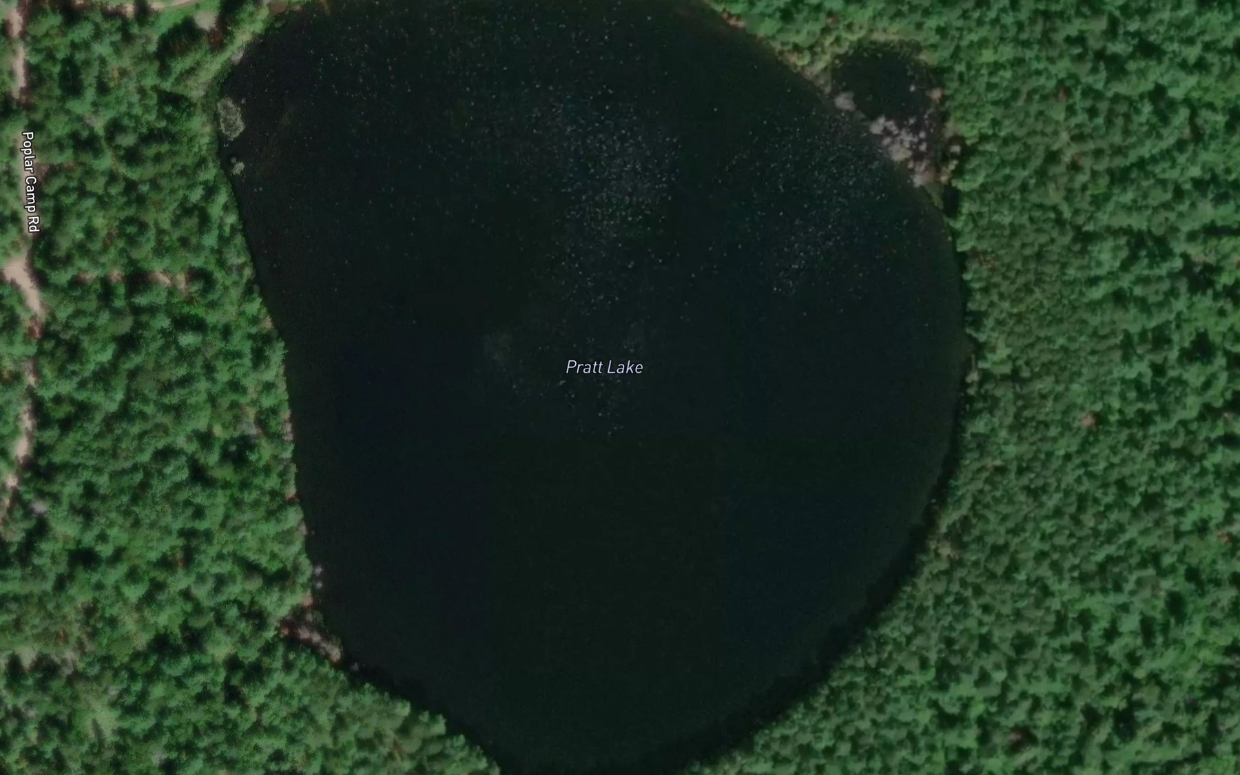 Satellite map of the Pratt Lake