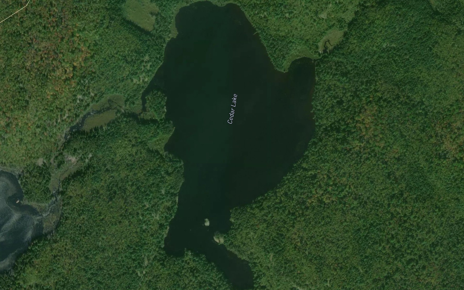 Satellite map of the Cedar Lake