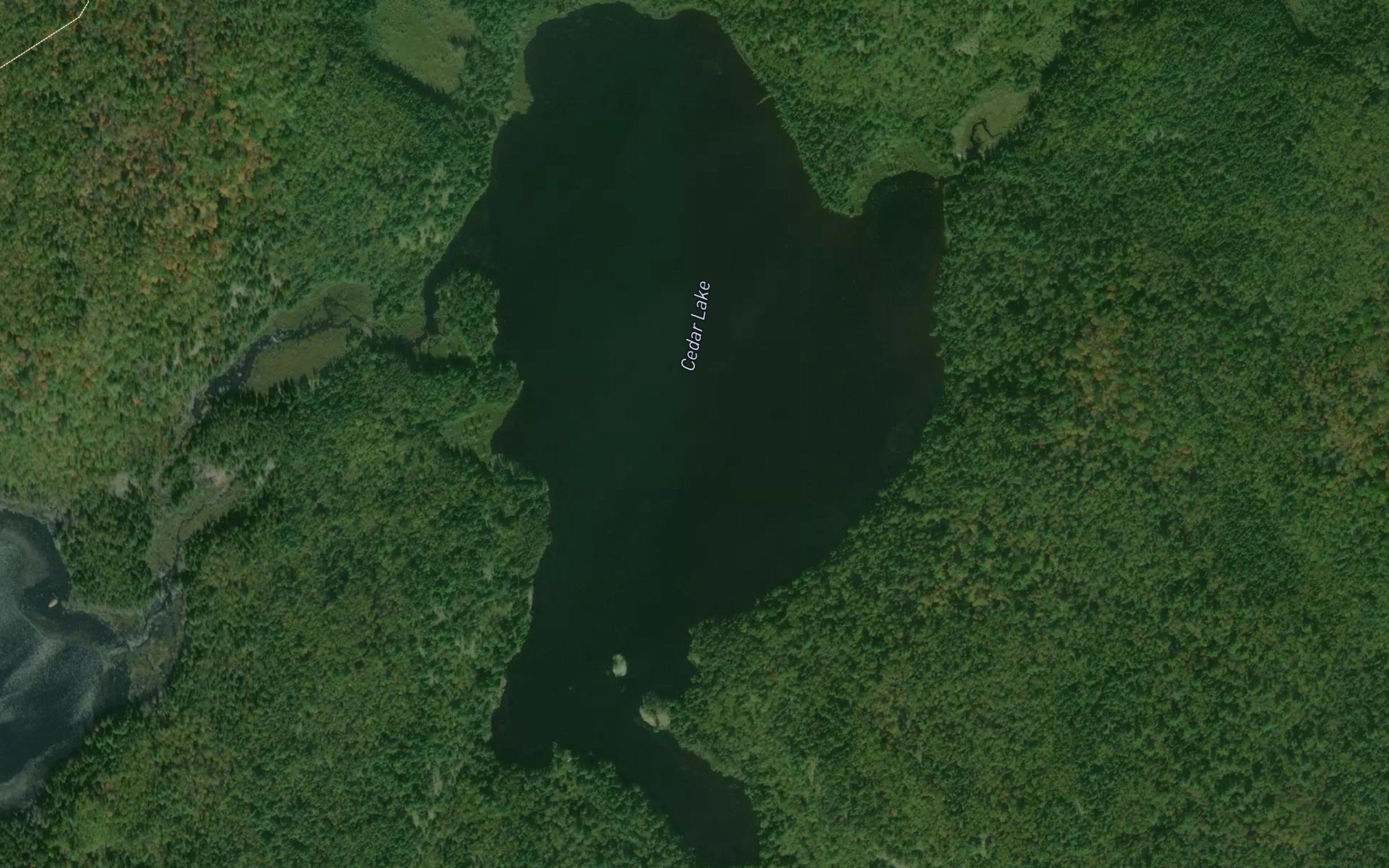 Cedar Lake