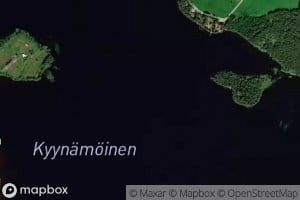 Kyynamoinen