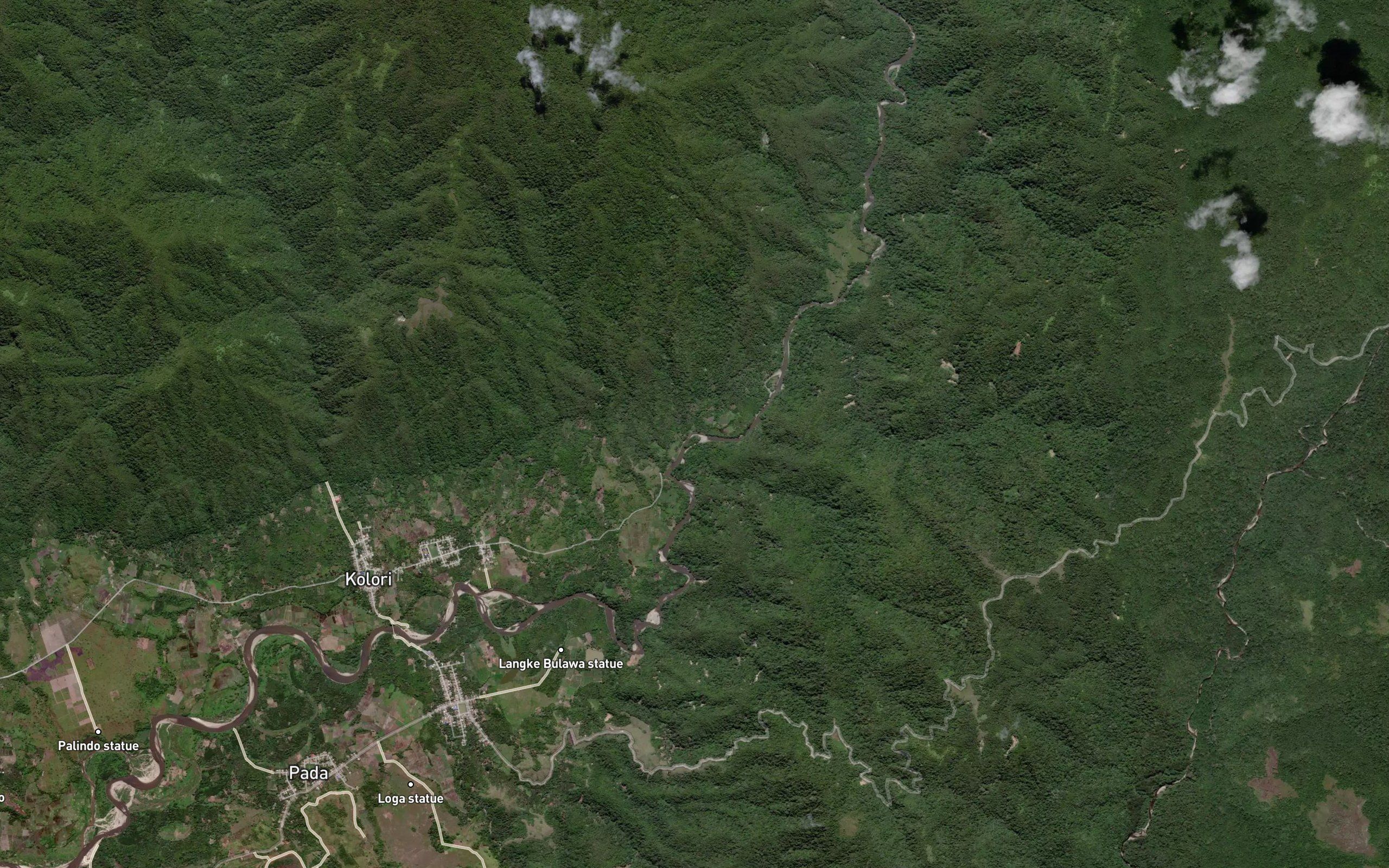 Halu Taba