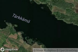 Tarkkamo