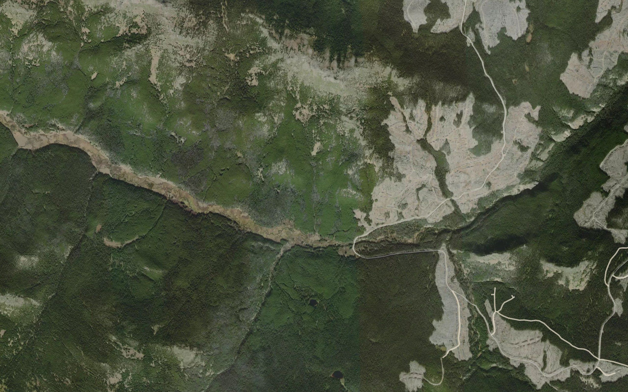 Nicodemas Creek