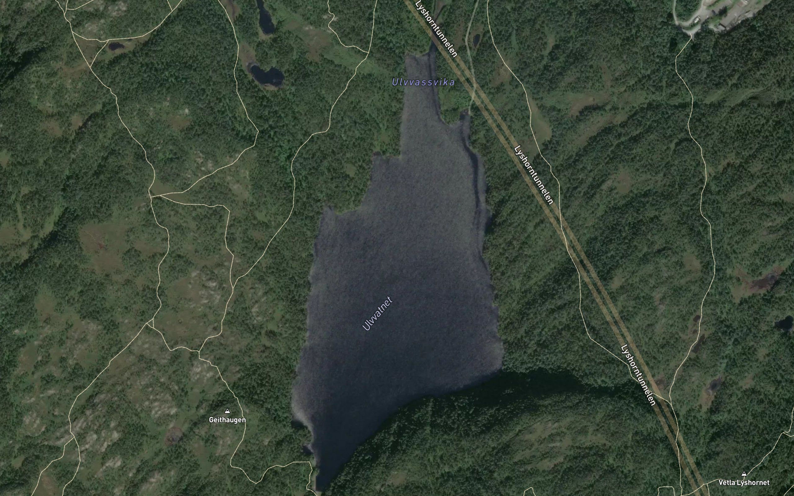 Svartevatnet