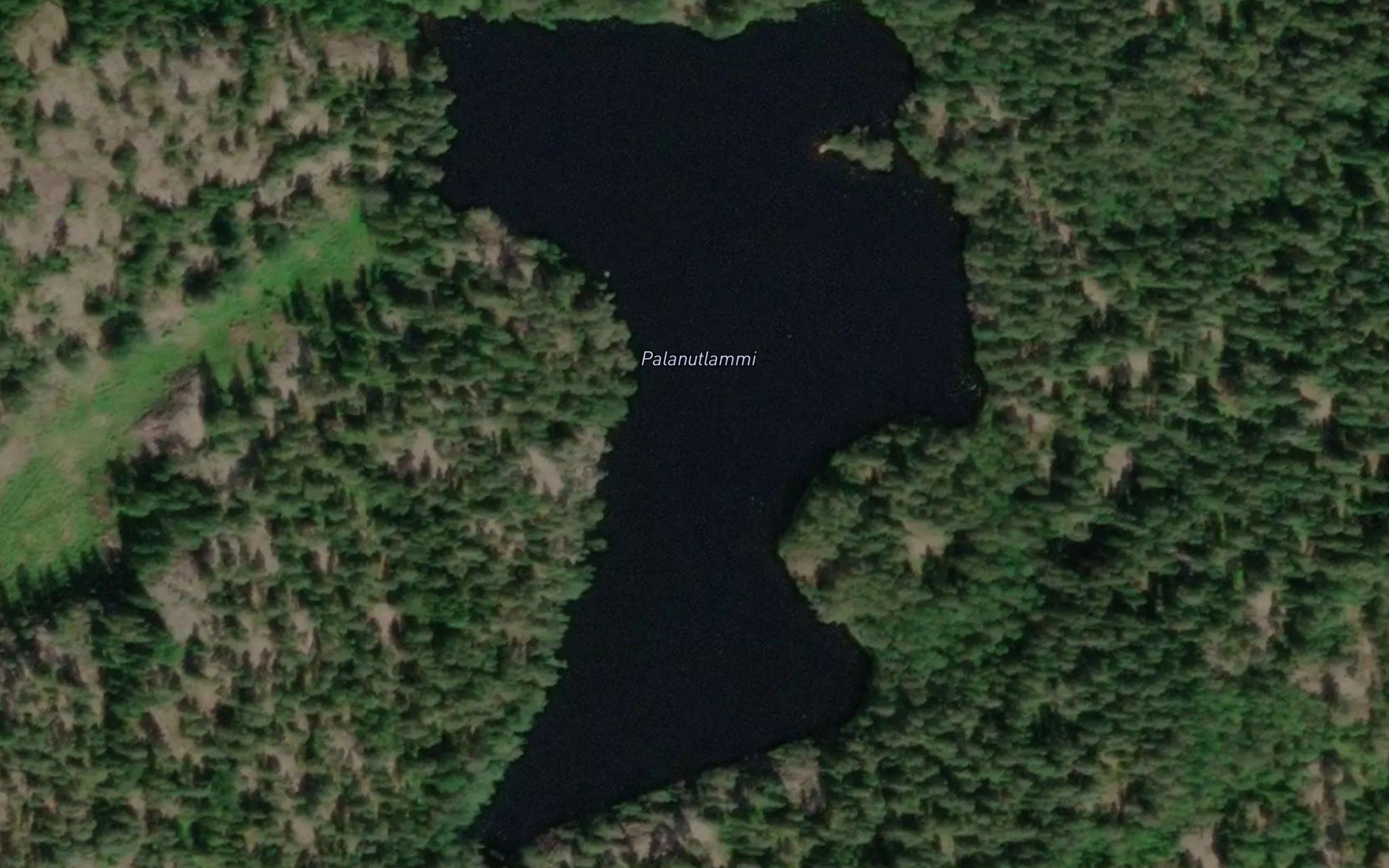 Palanutlammi