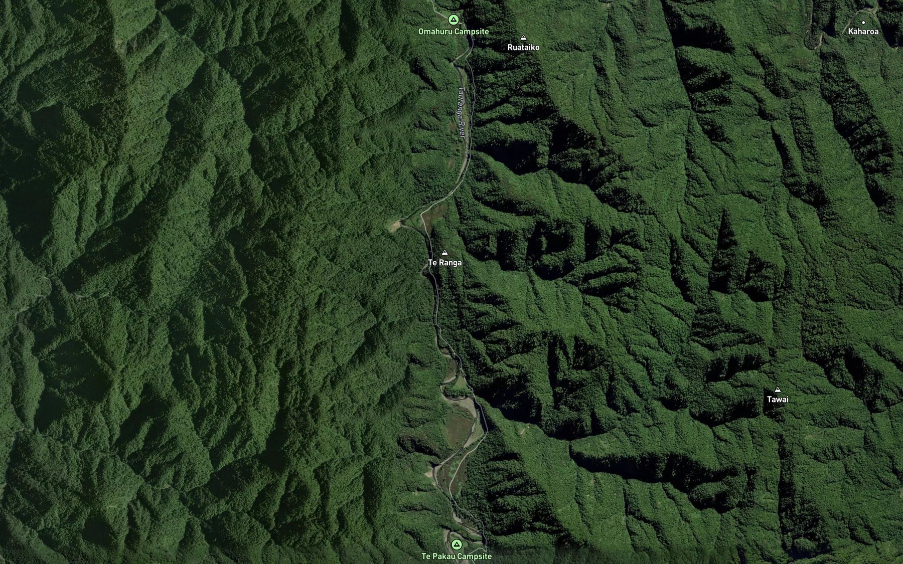 Satellite map of the Te Awaateatua Stream