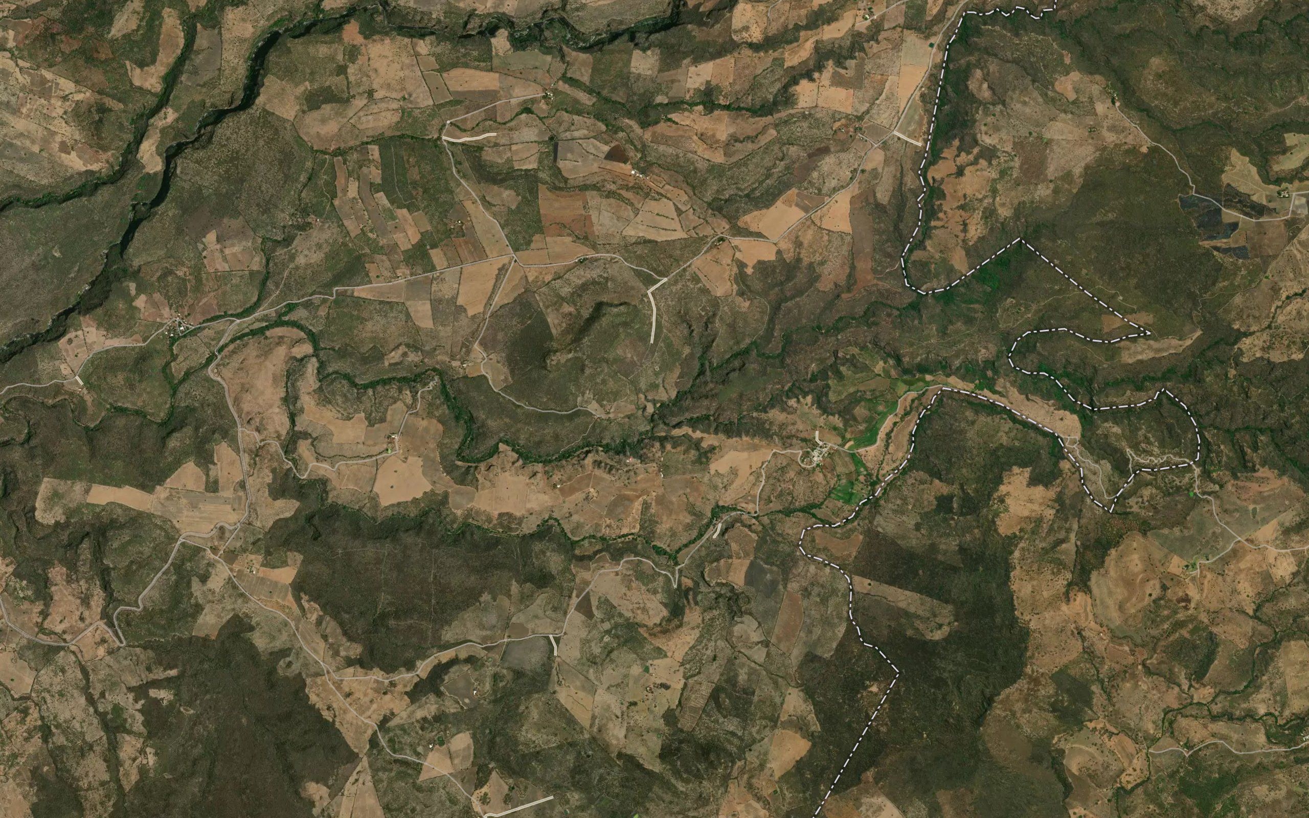 El Carrizalillo