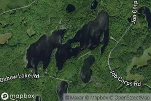 Oxbow Lake