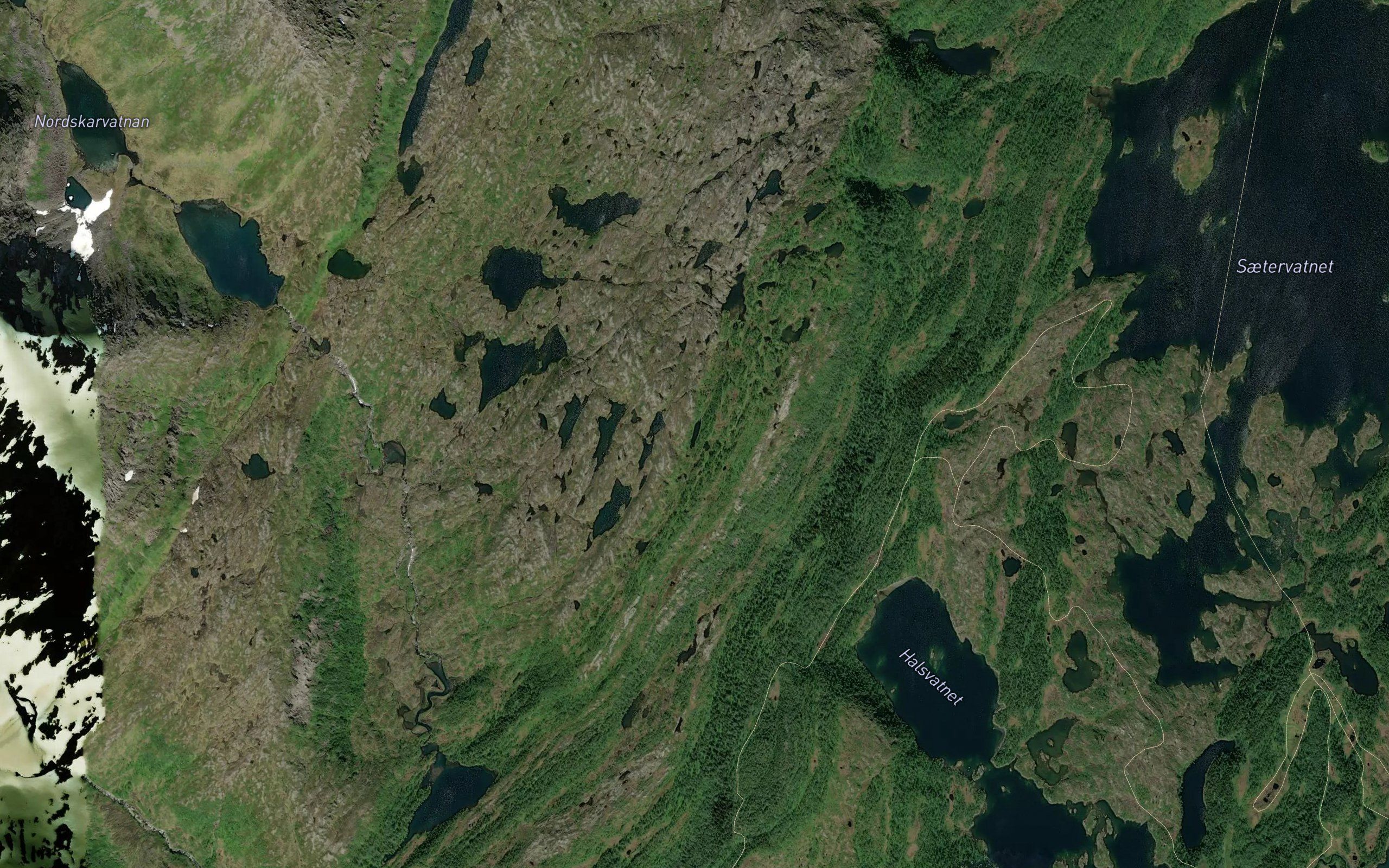 Hundpisstjonna