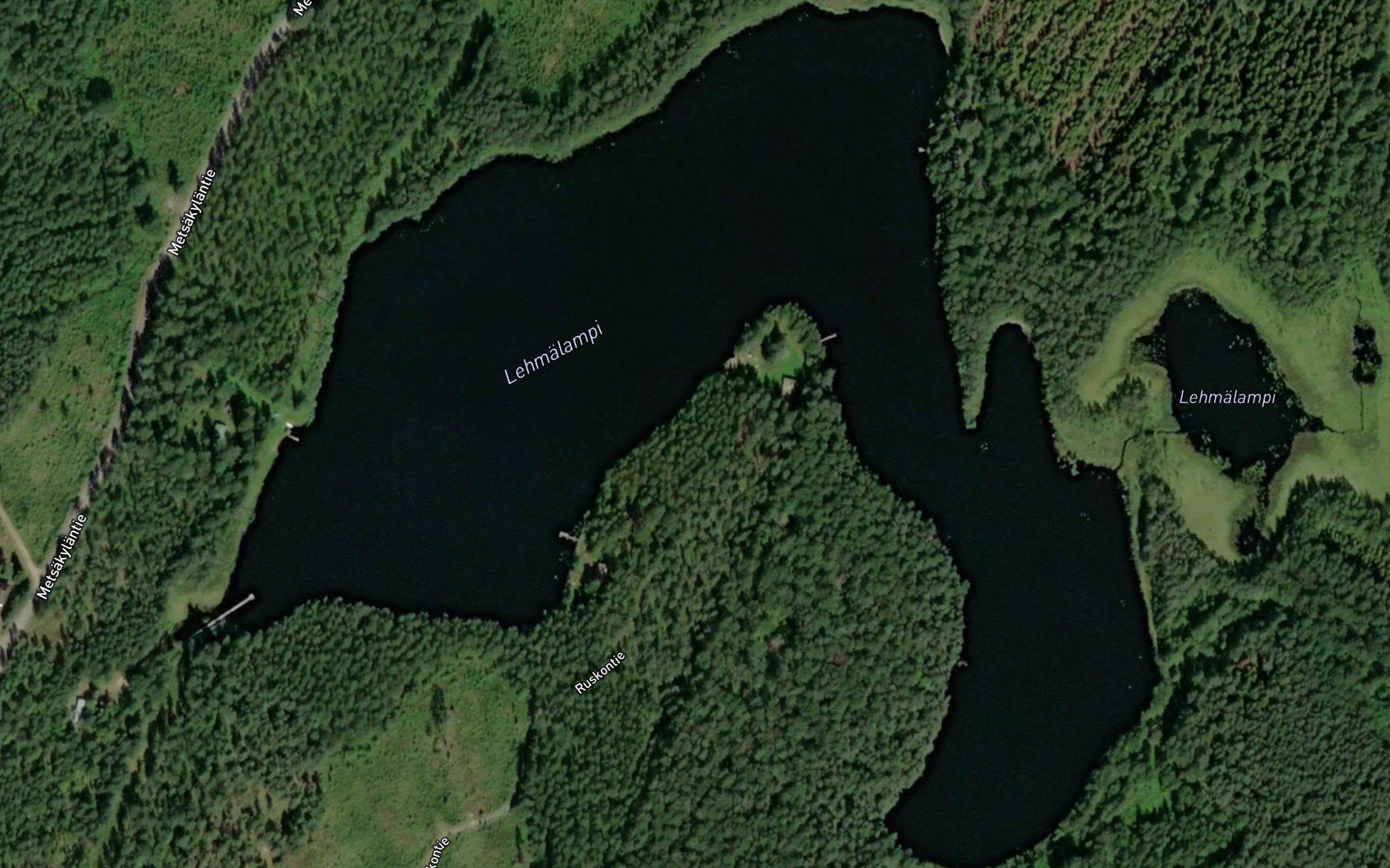 Lehmalampi