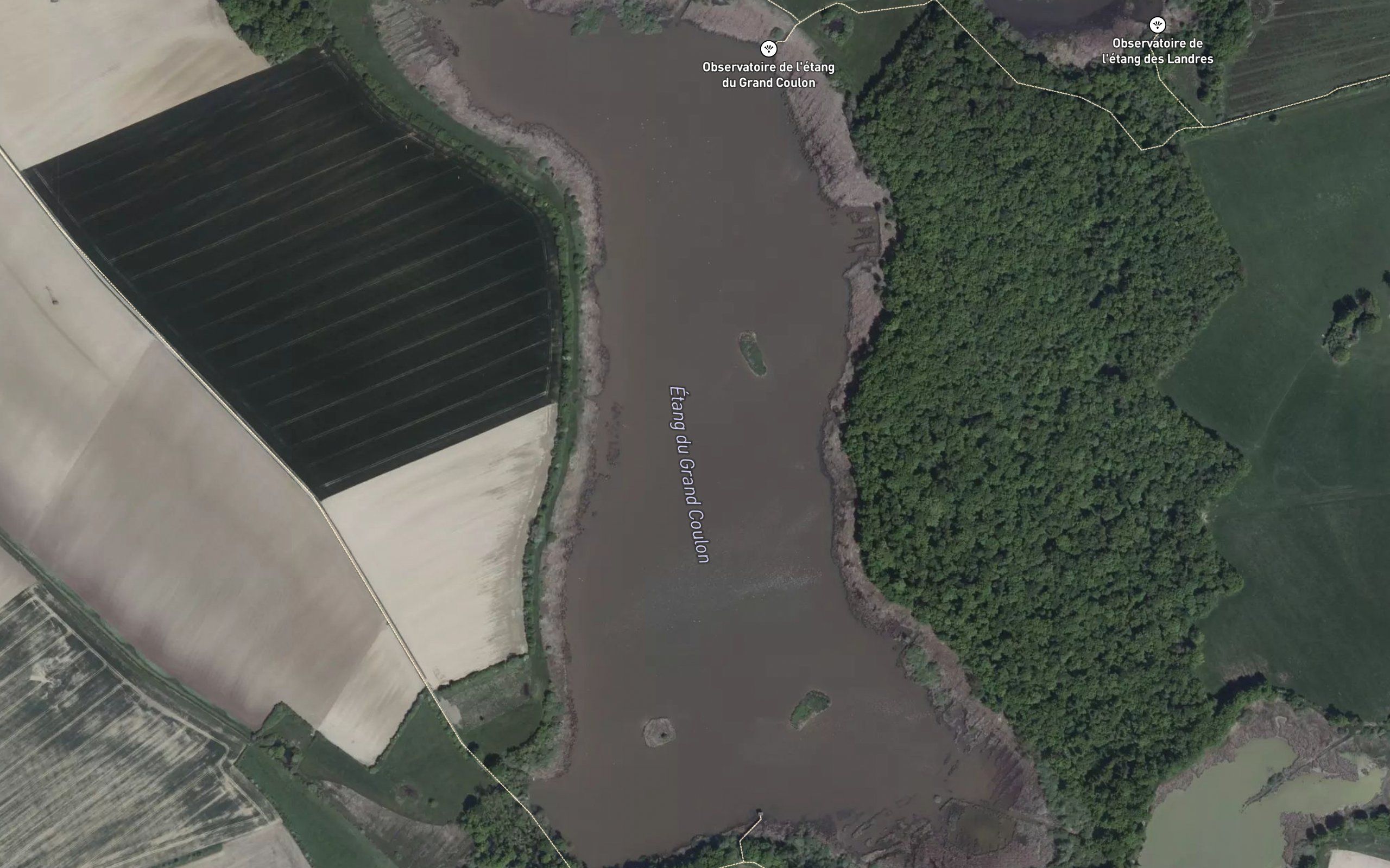 Etang du Grand Coulon