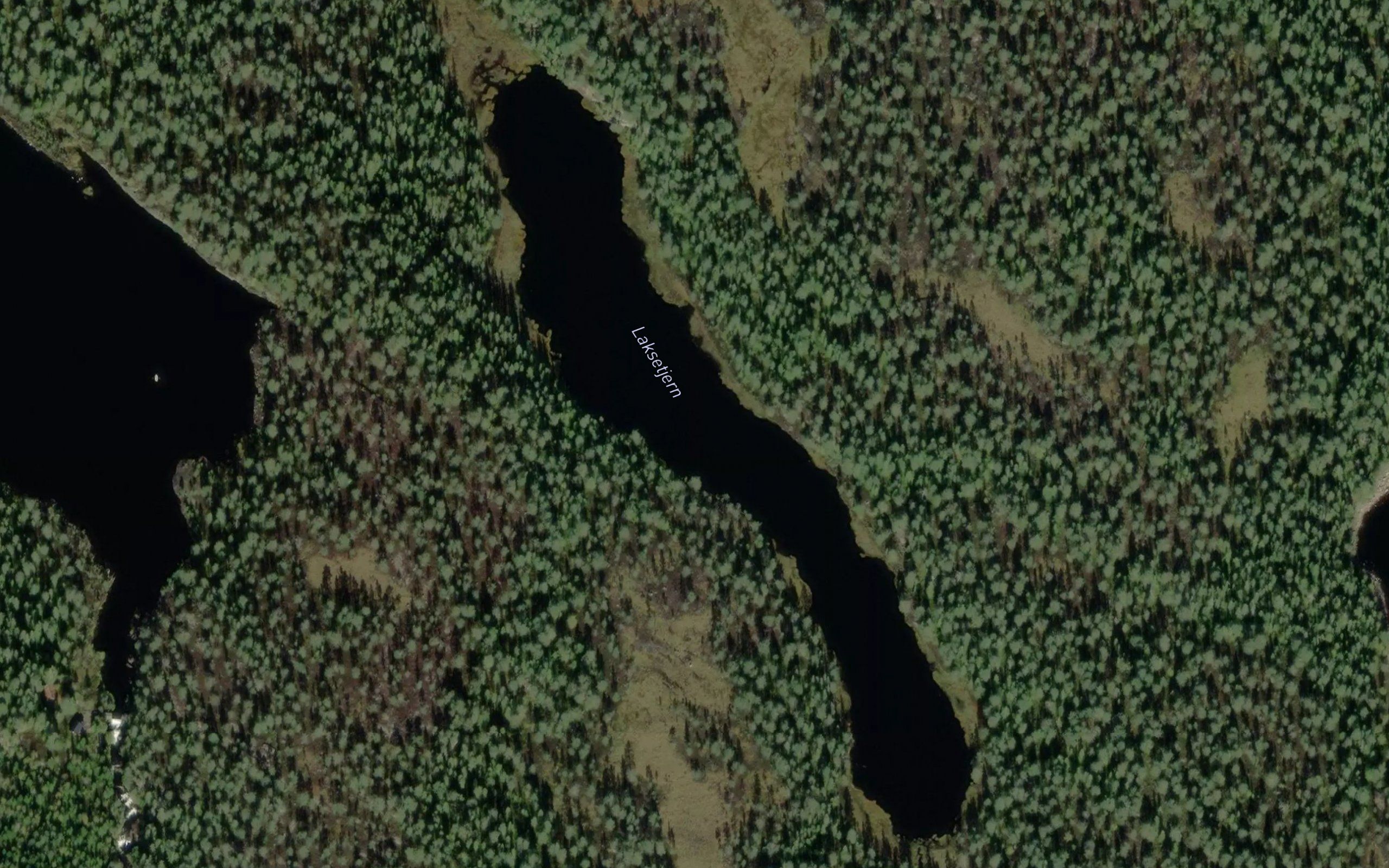 Laksetjern
