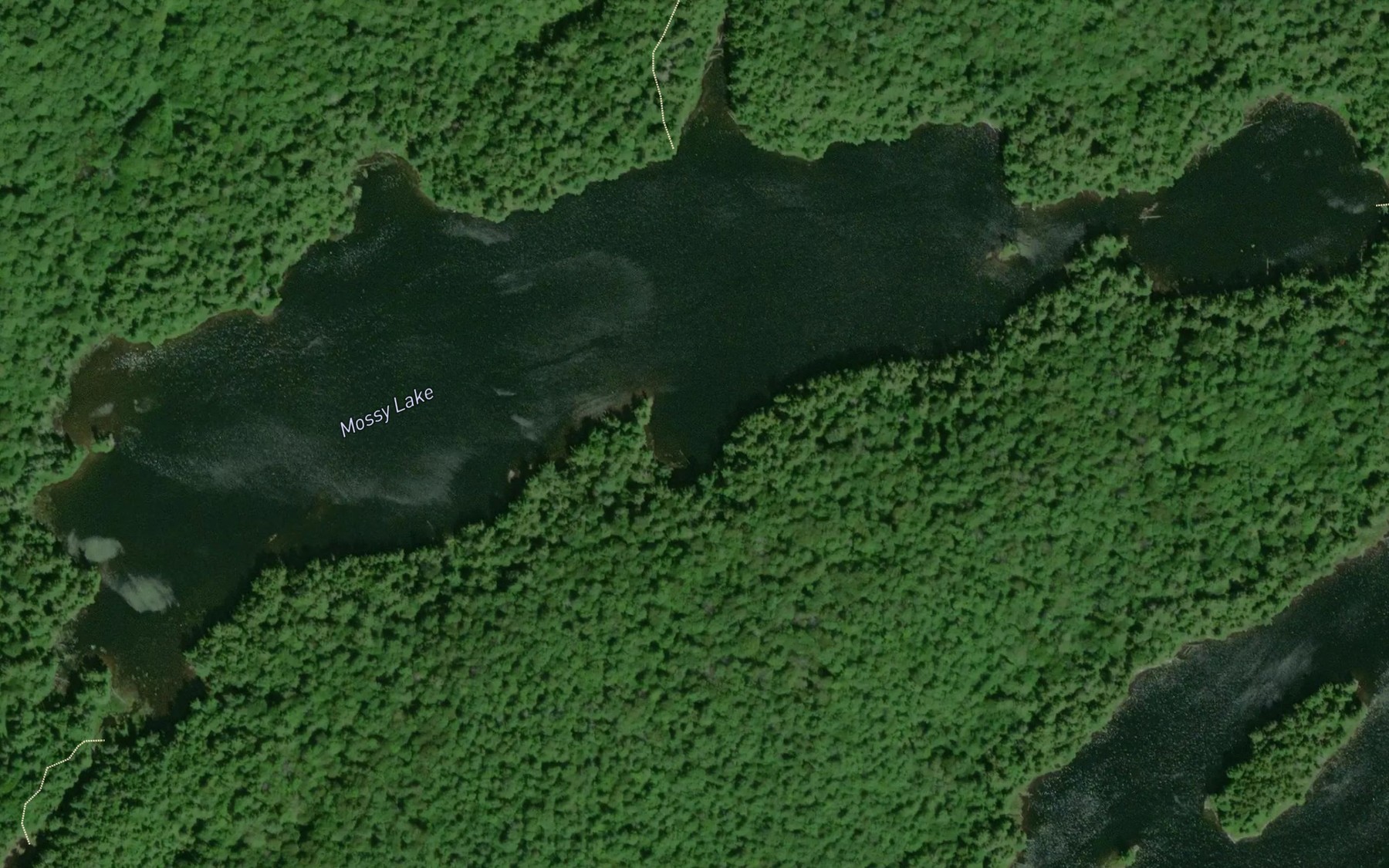 Satellite map of the Mossy Lake