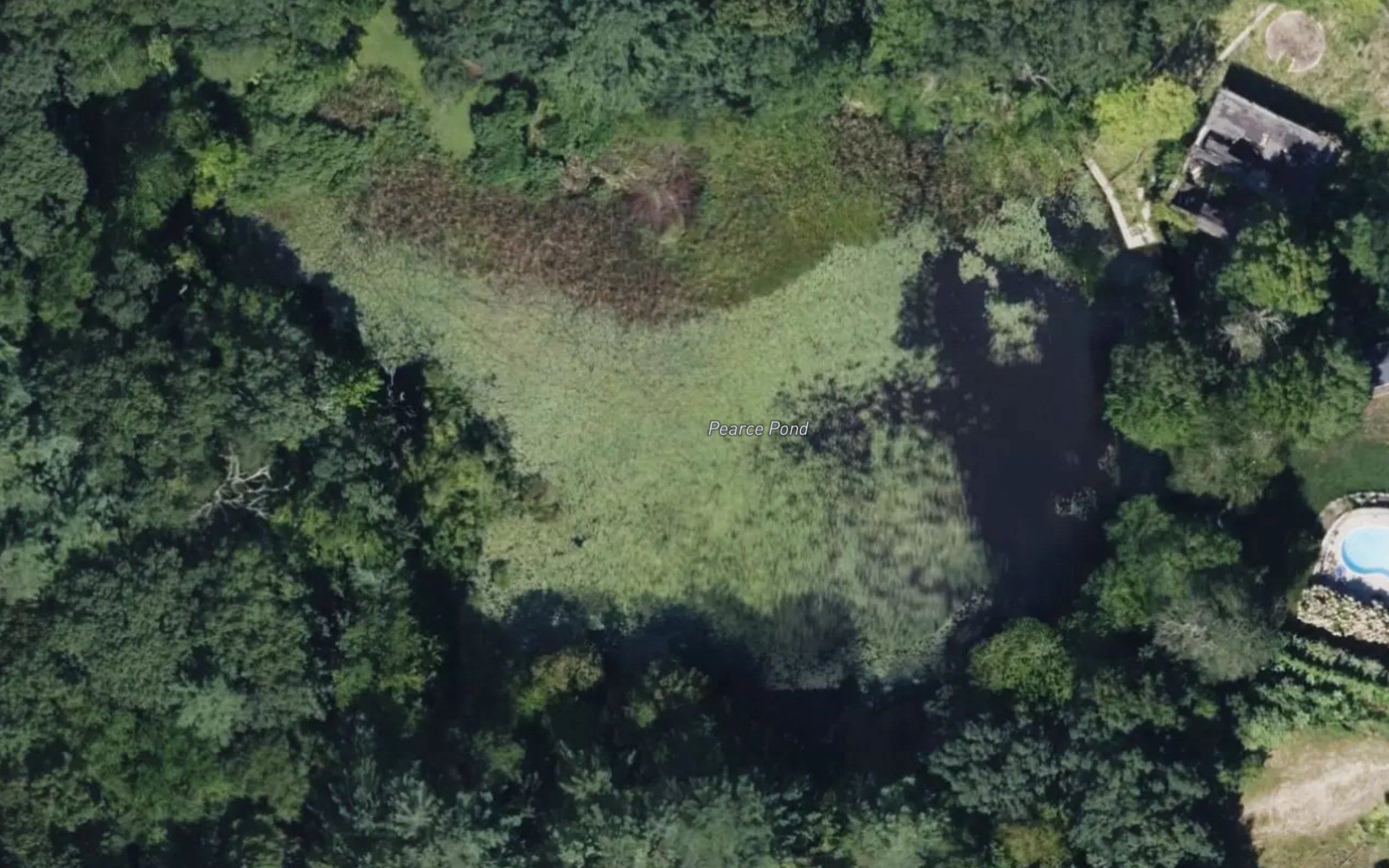 Pearce Pond