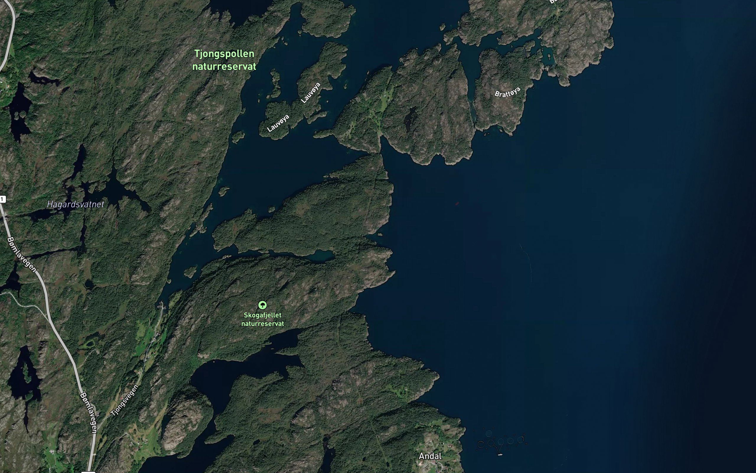 Skjervika