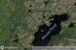 Moose Pond