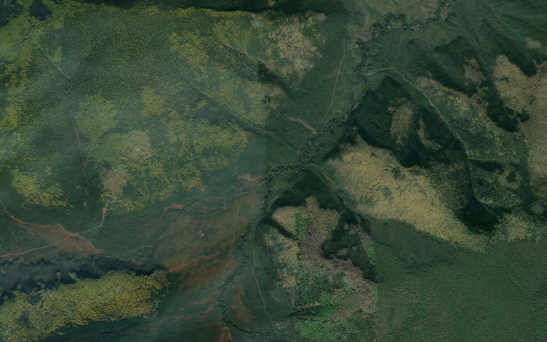 Satellite map of the Mosquito Creek