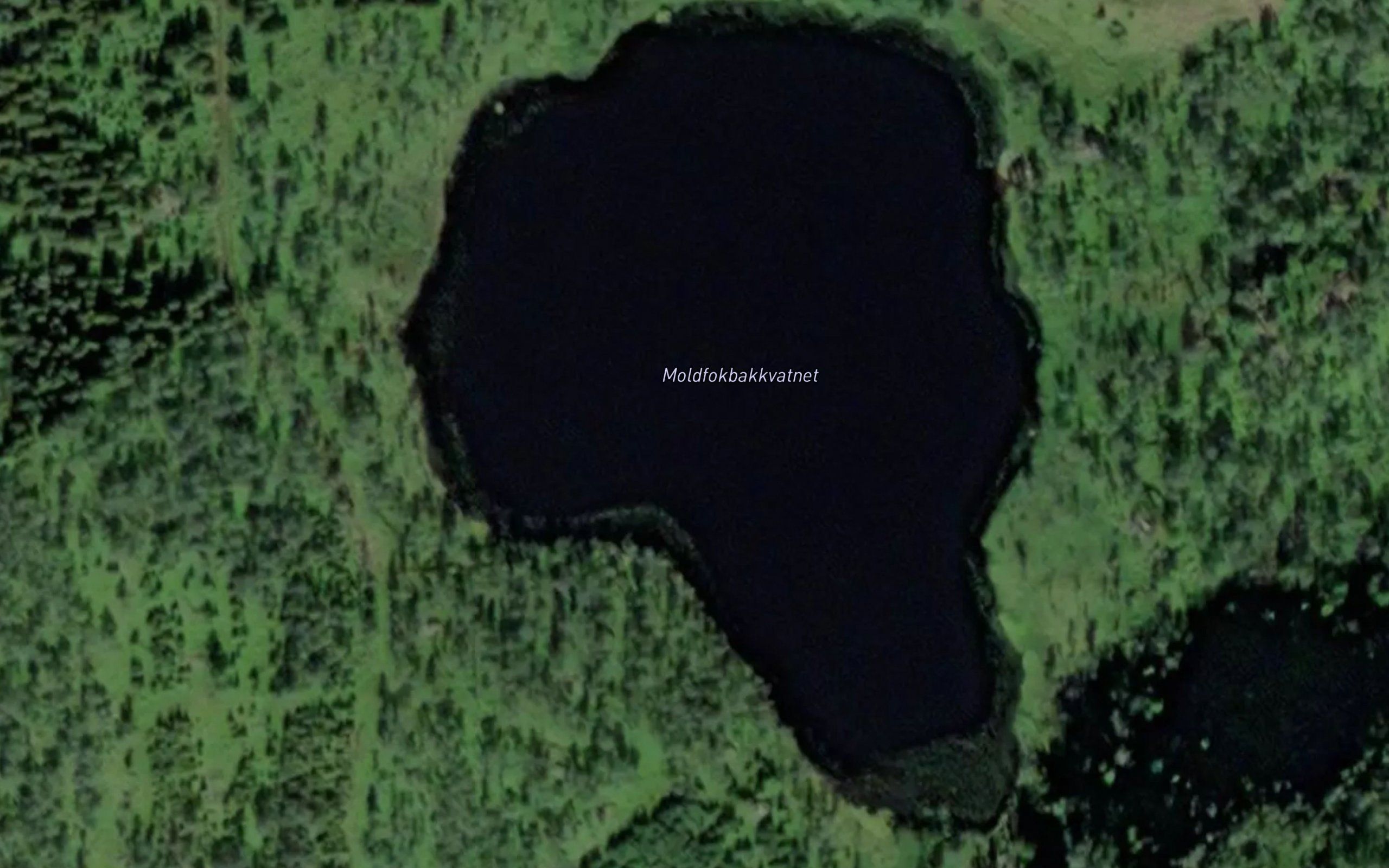 Moldfokbakkvatnet