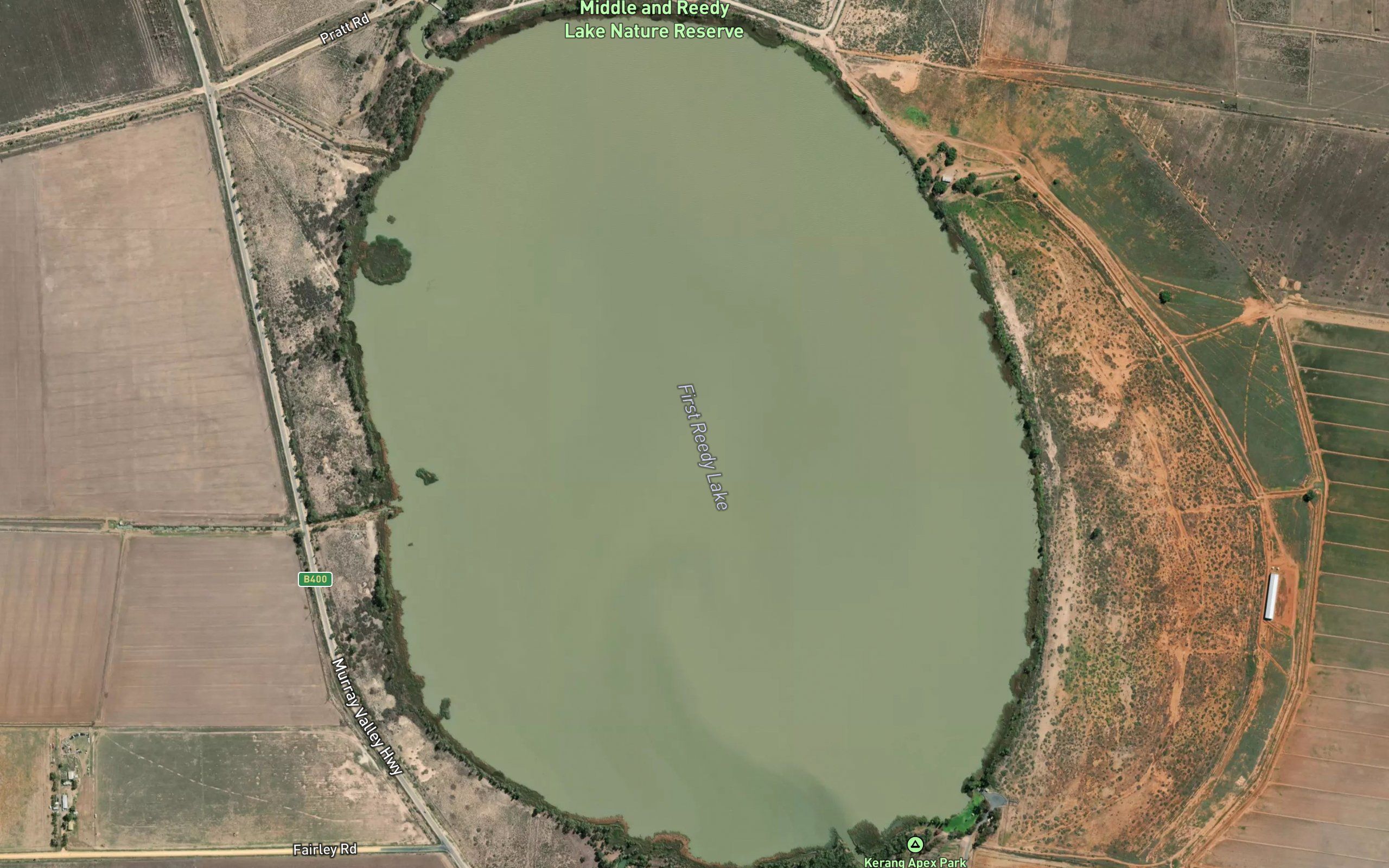 Reedy Lake