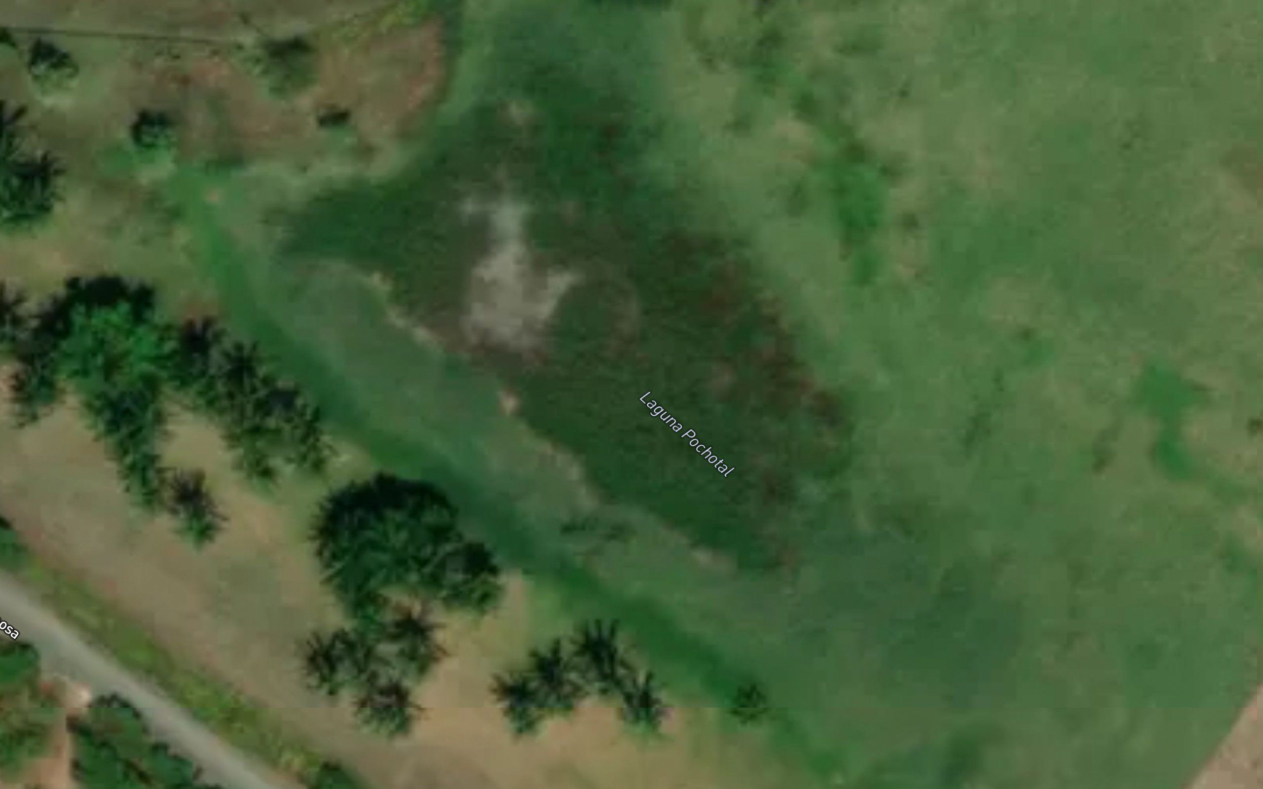 Laguna Pochotal
