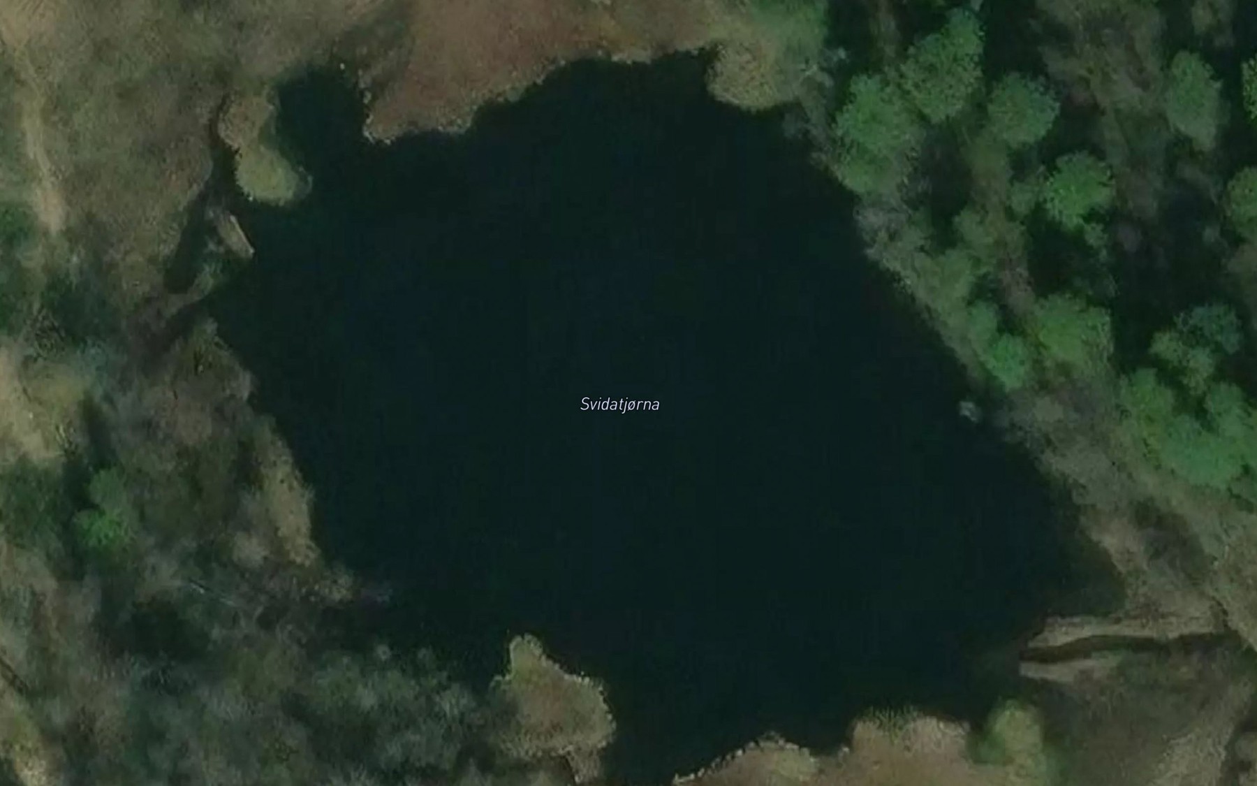 Satellite map of the Svidatjorni