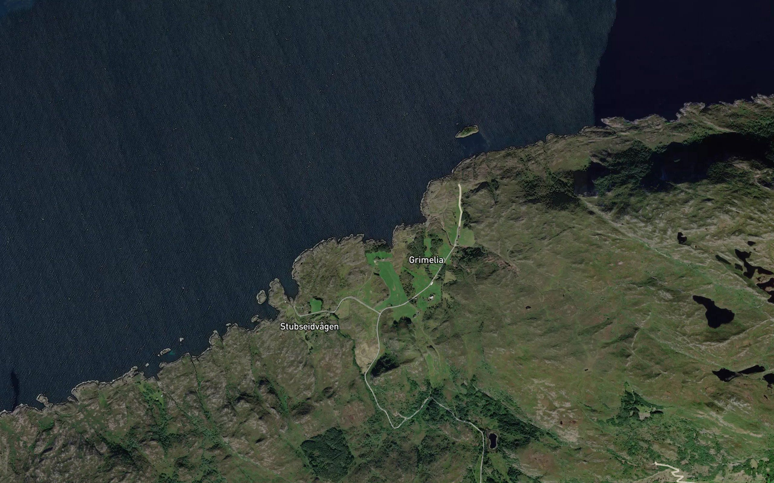 Elvevika
