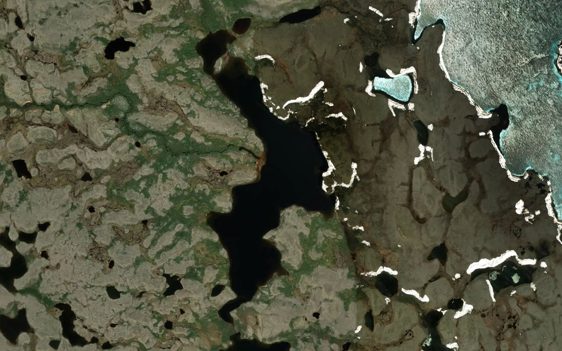 Satellite map of the David Miller Lake