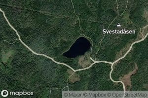 Svestadtjern