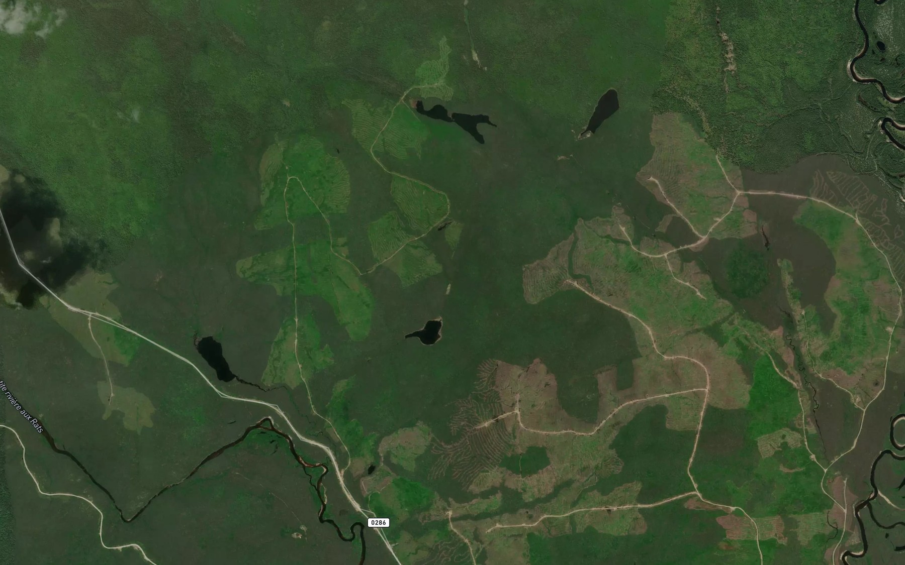 Satellite map of the Lac de l'Aria