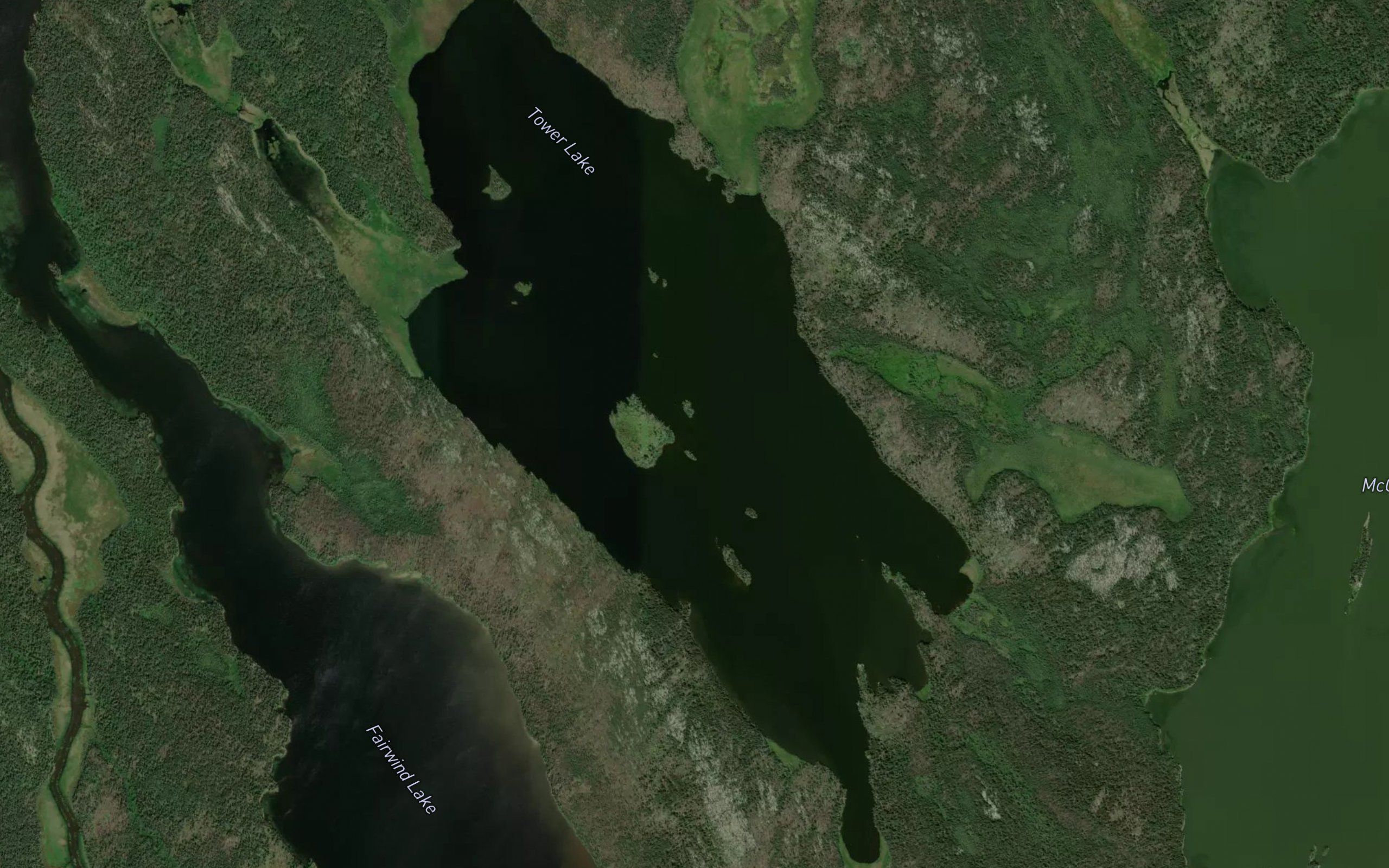 Tower Lake