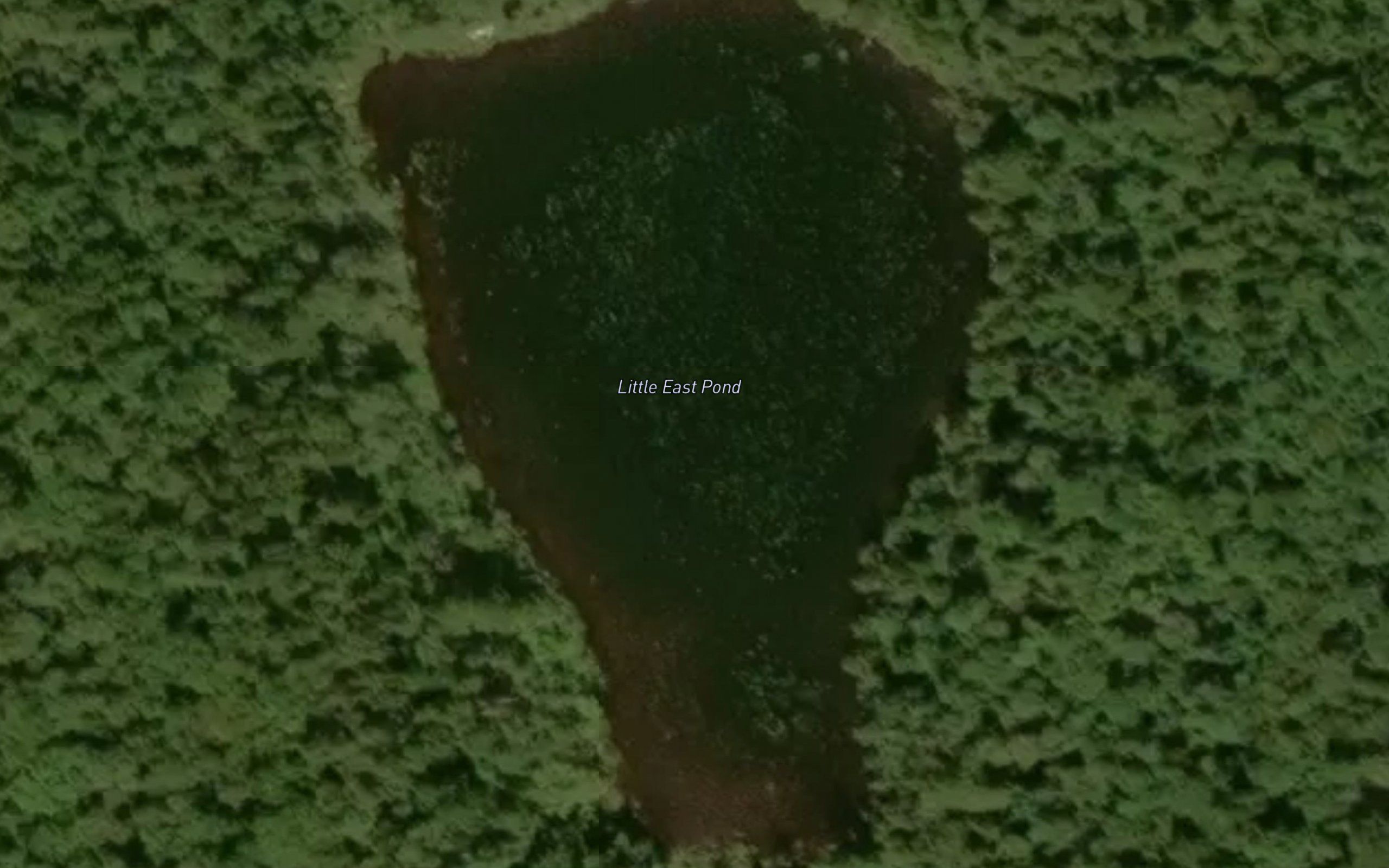 Little East Pond