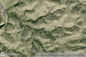 Spotted Oak Spring