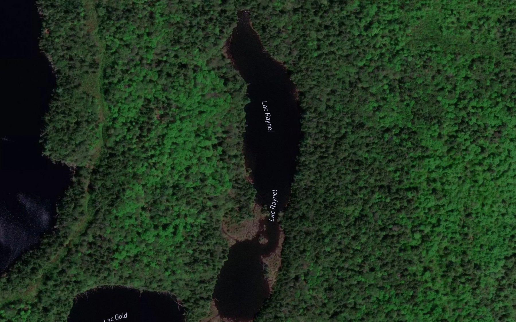 Satellite map of the Lac Raynel